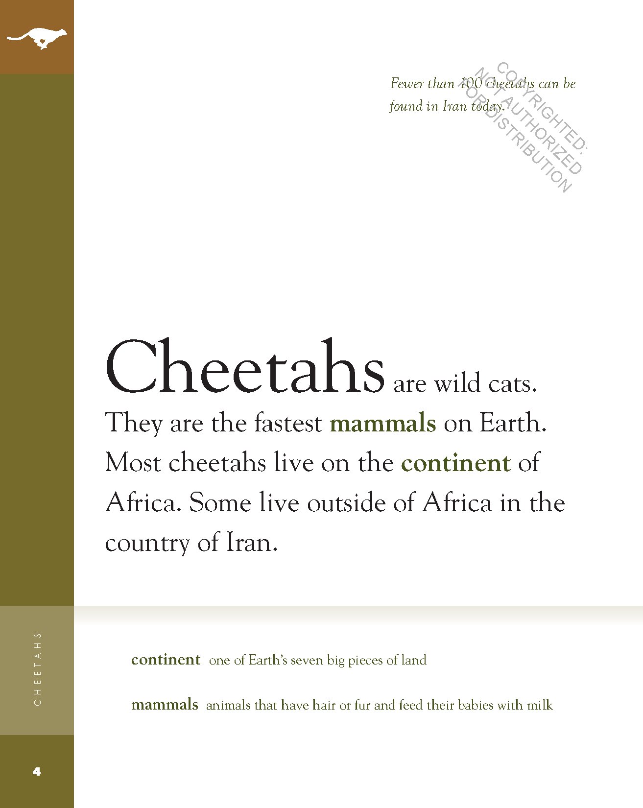 Cheetahs