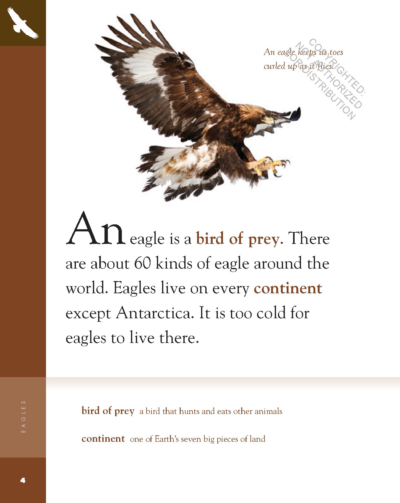 Eagles