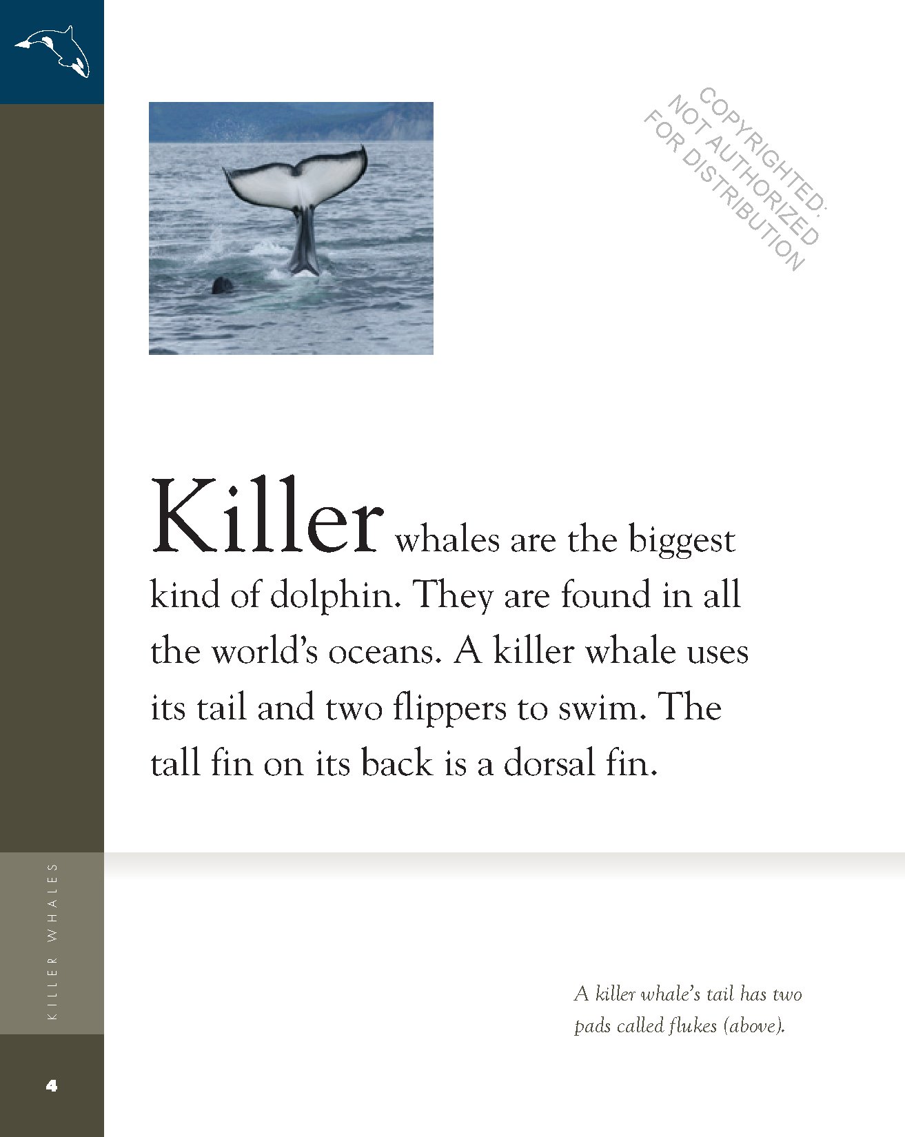 Killer Whales