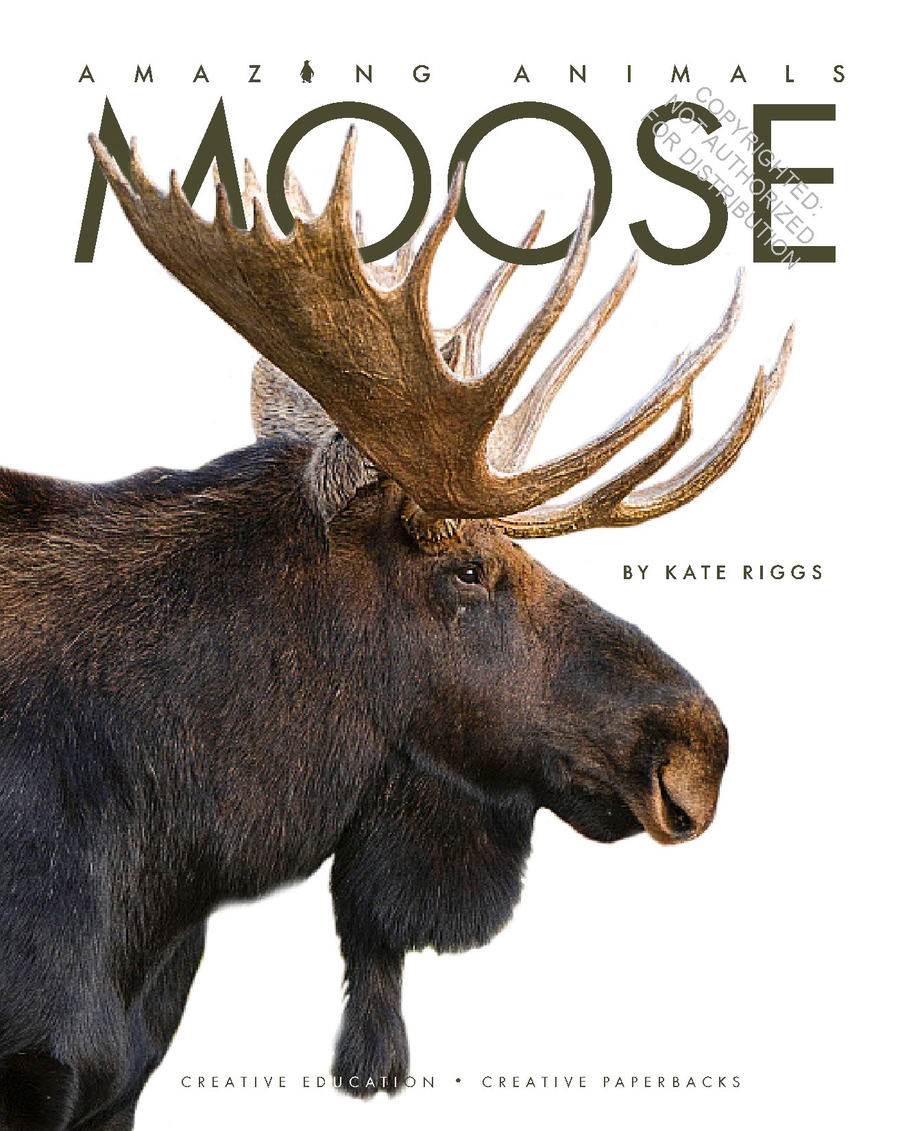 Moose