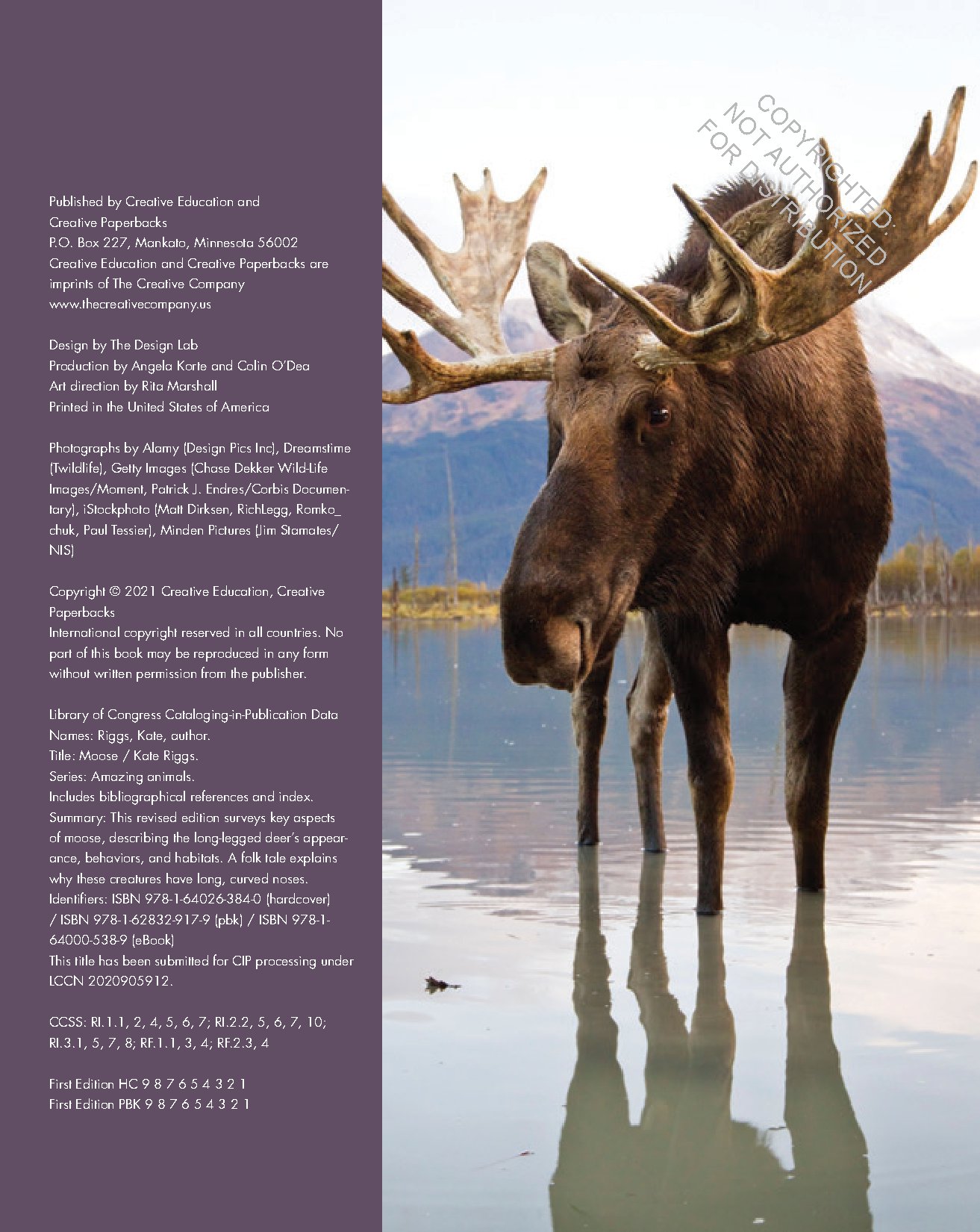 Moose