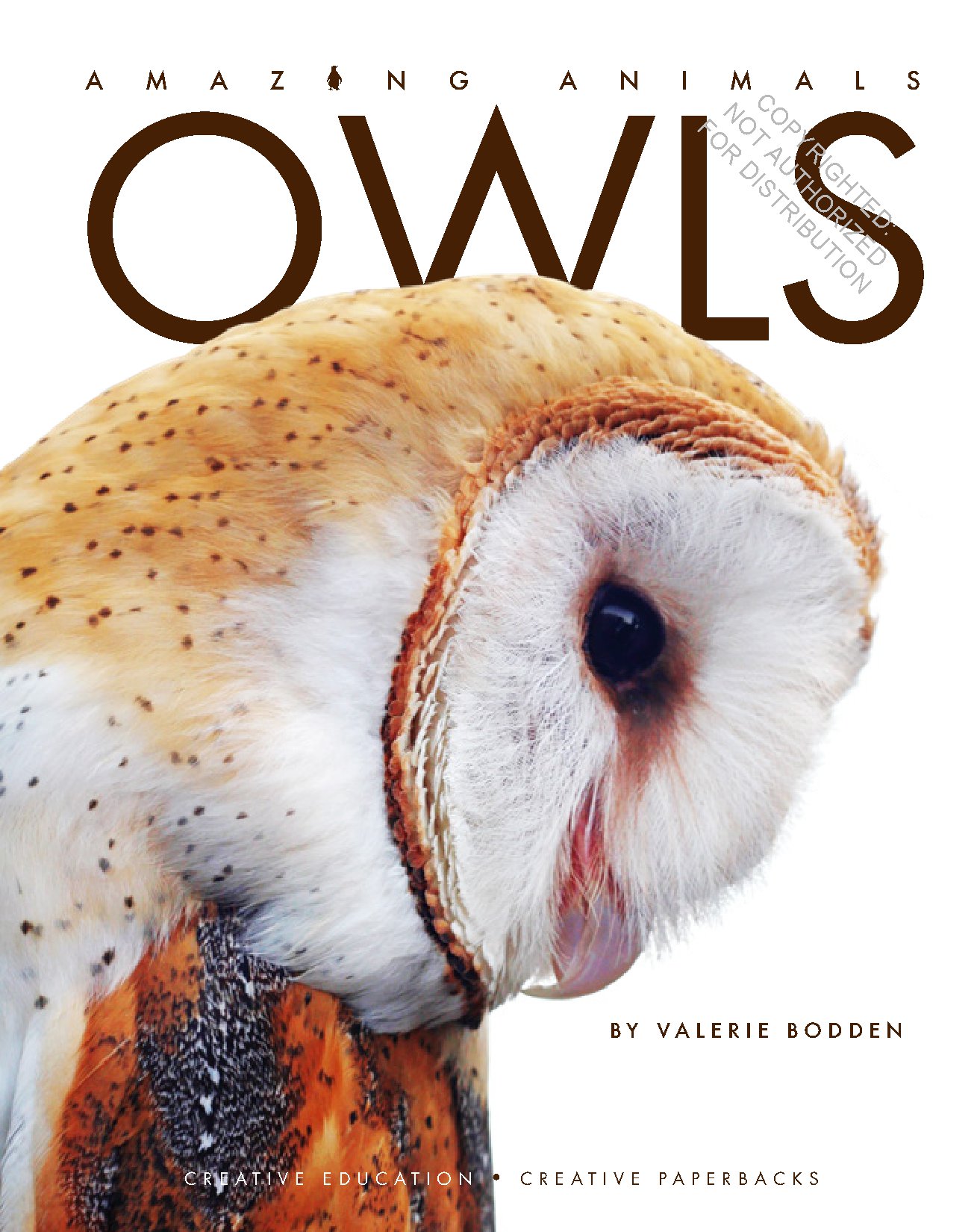 Owls