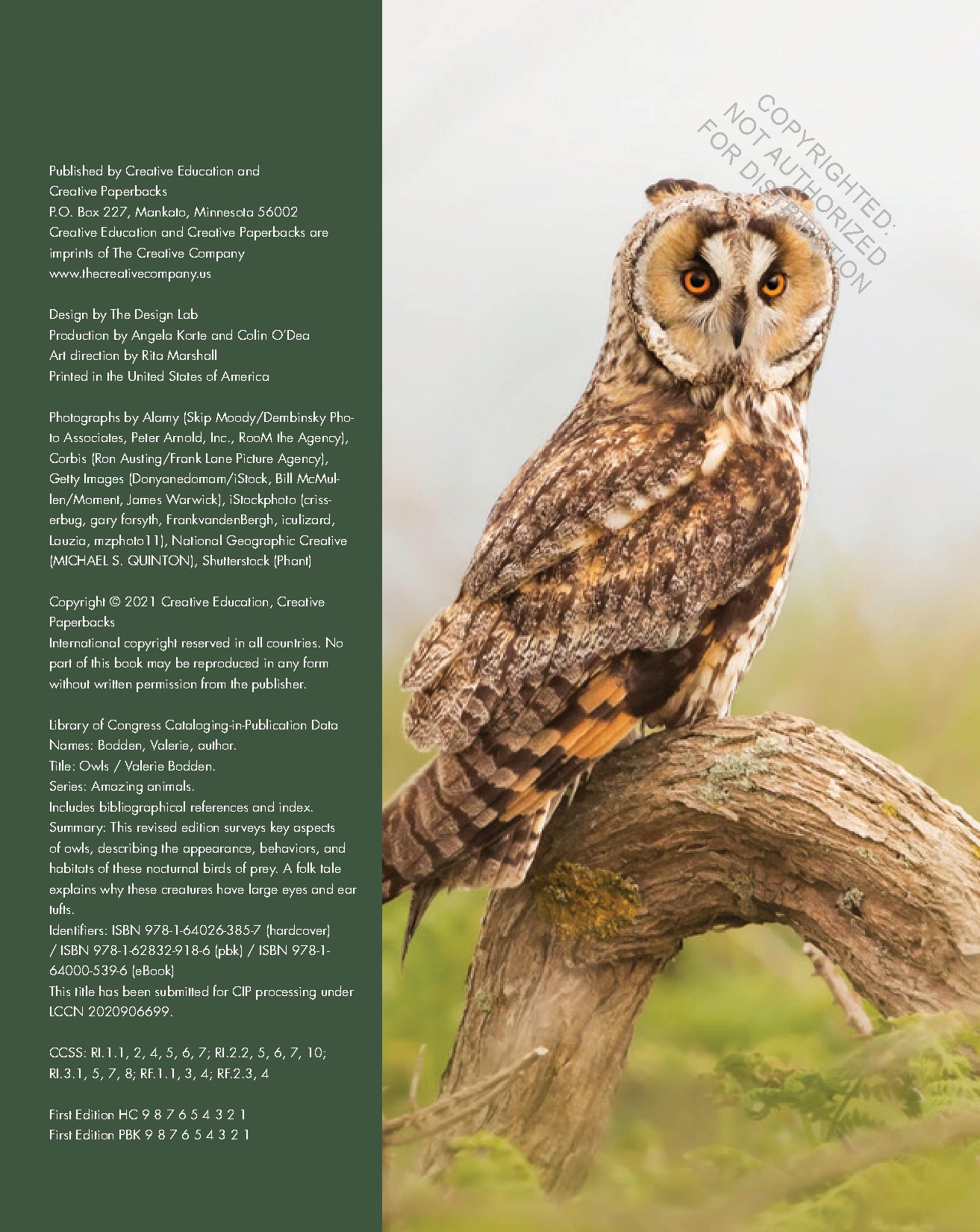 Owls