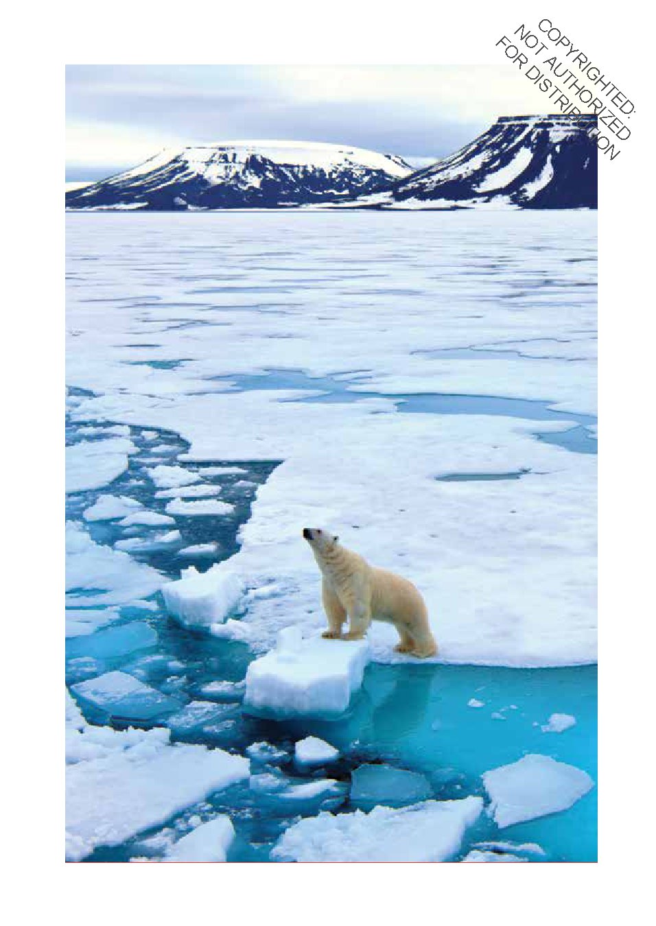 Wildlife in Danger