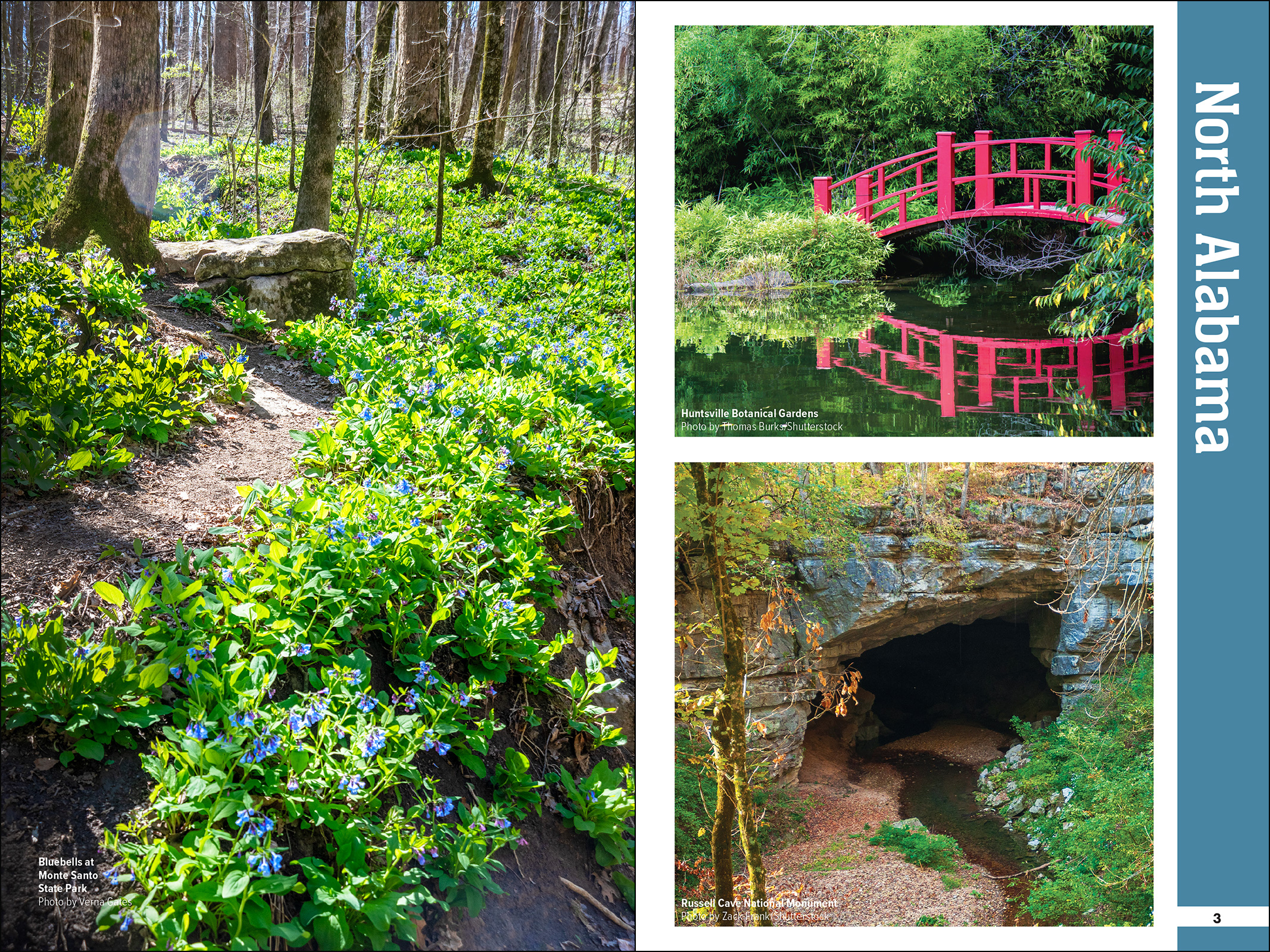 Fresh Air Family: Alabama