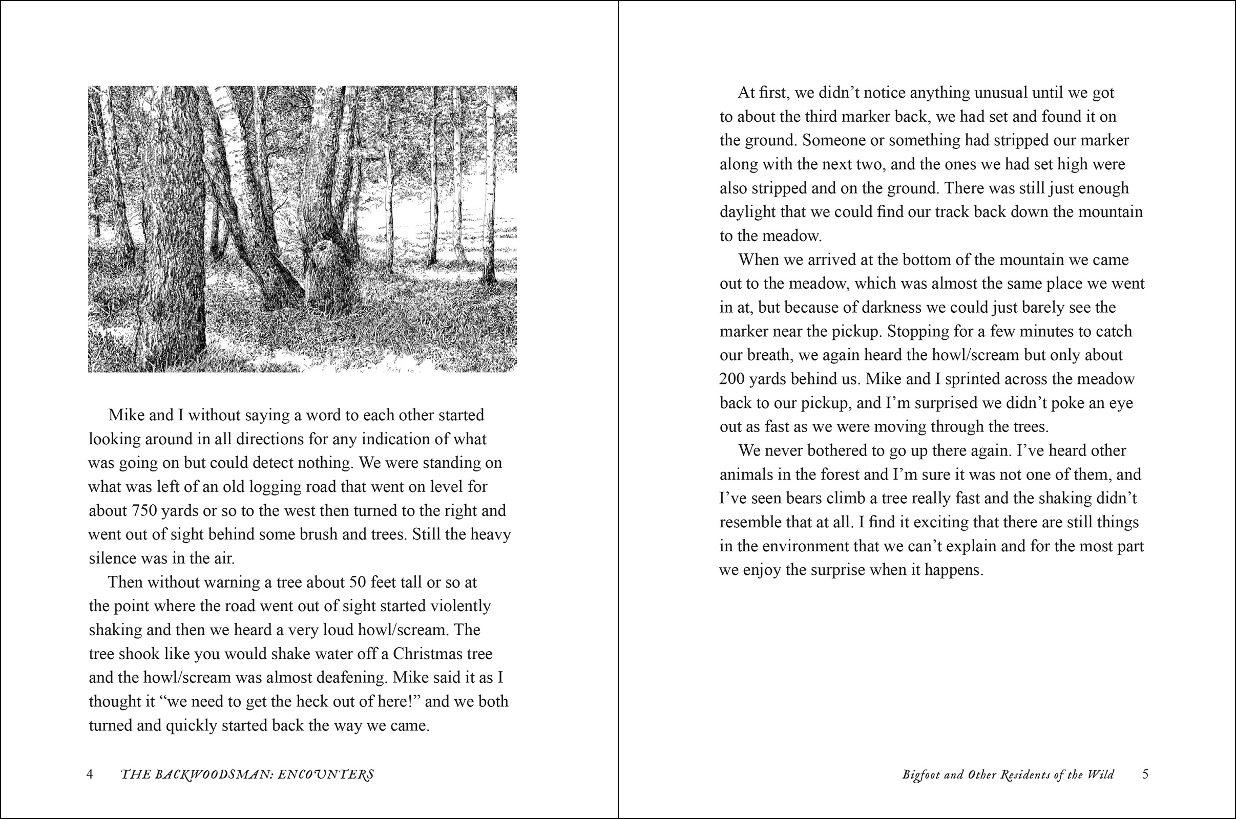 The Backwoodsman: Encounters