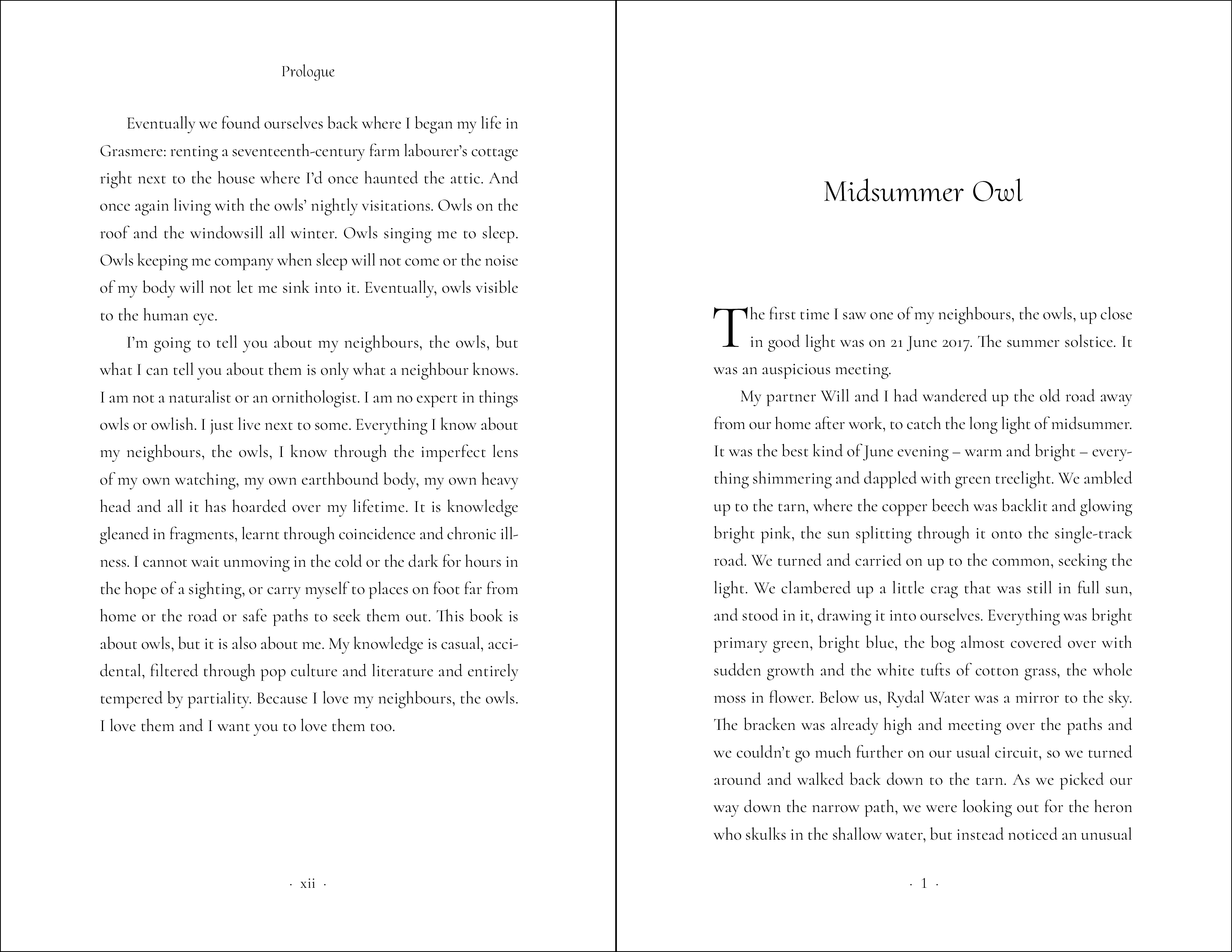 The Company of Owls