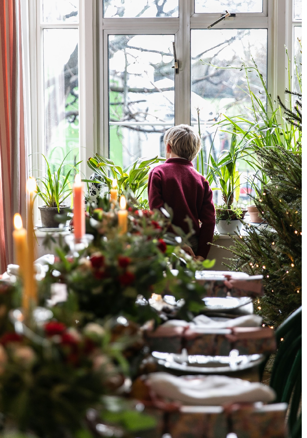 The Christmas Companion