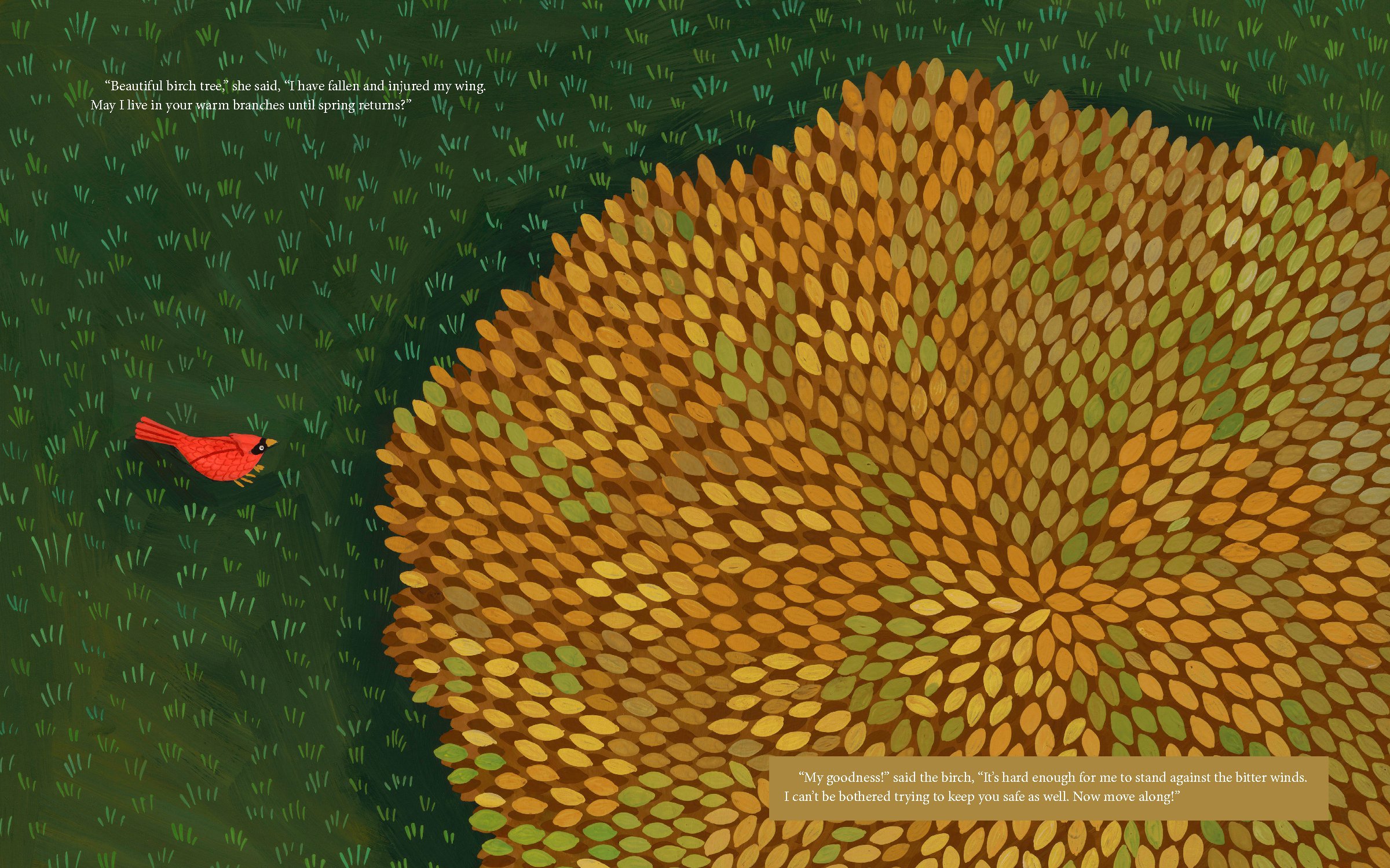 Why Evergreens Keep Their Leaves