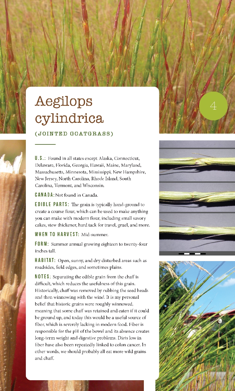 276 Edible Wild Plants of the United States and Canada