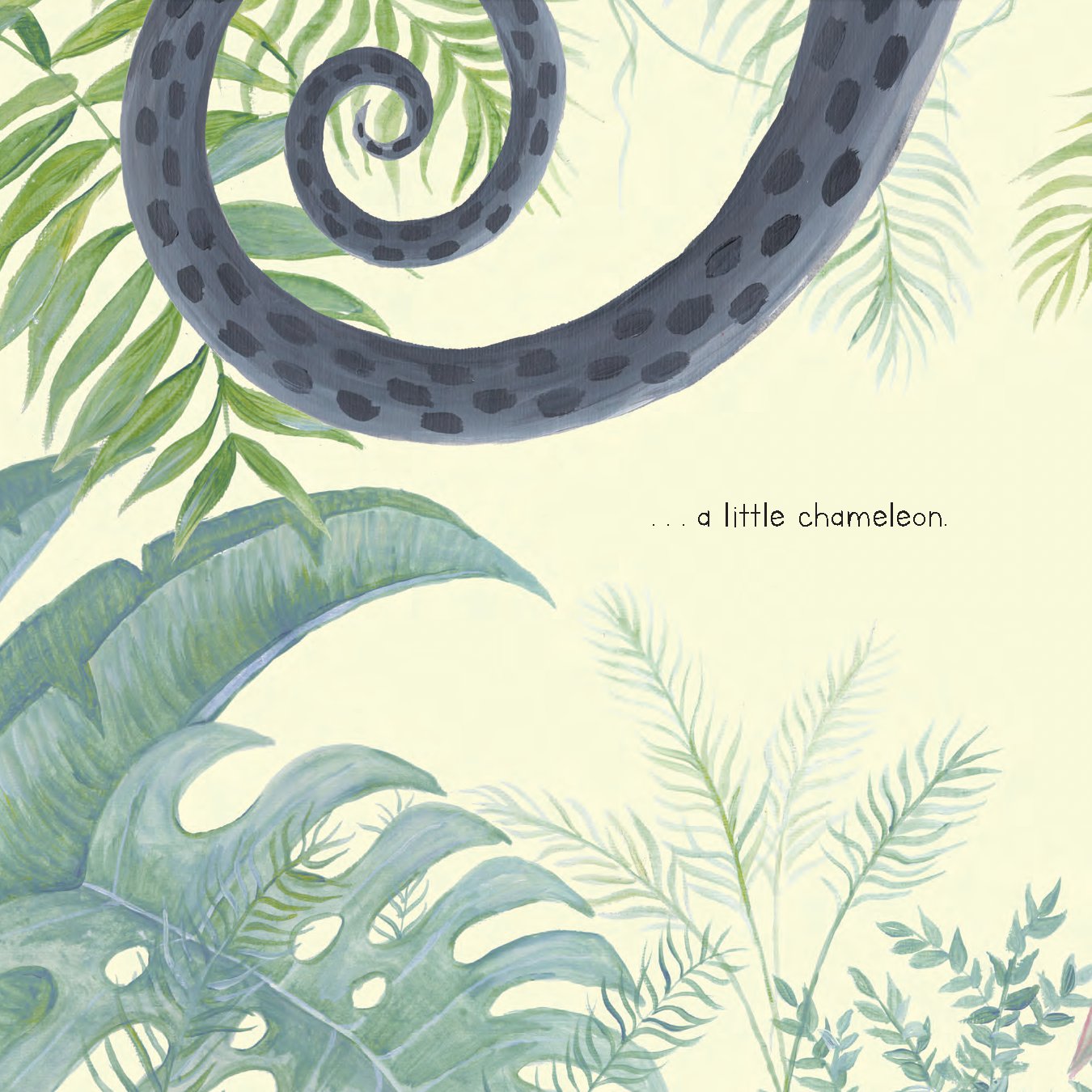 The Chameleon's True Colors