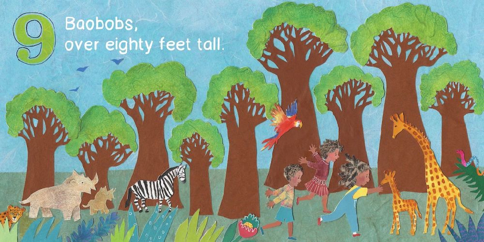 A Walk in the Forest