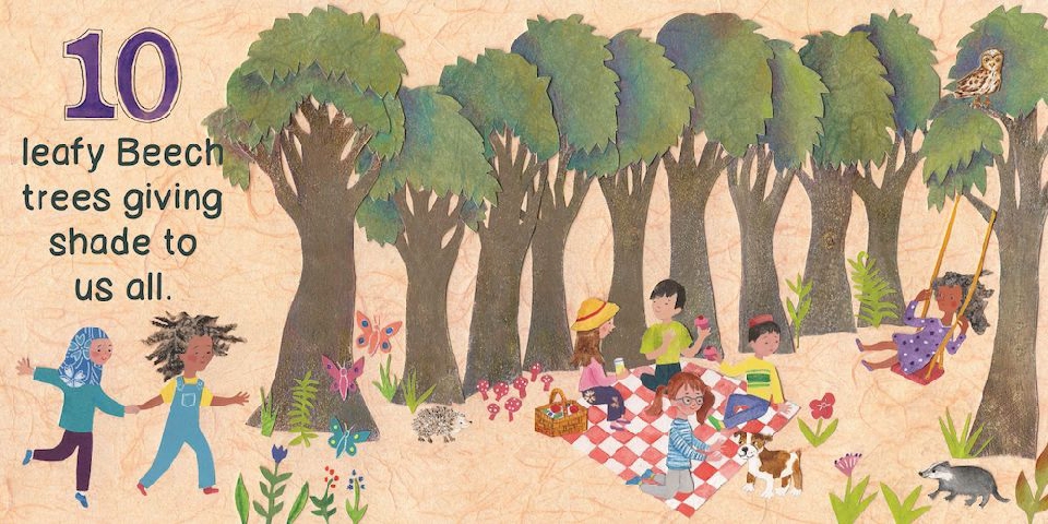 A Walk in the Forest