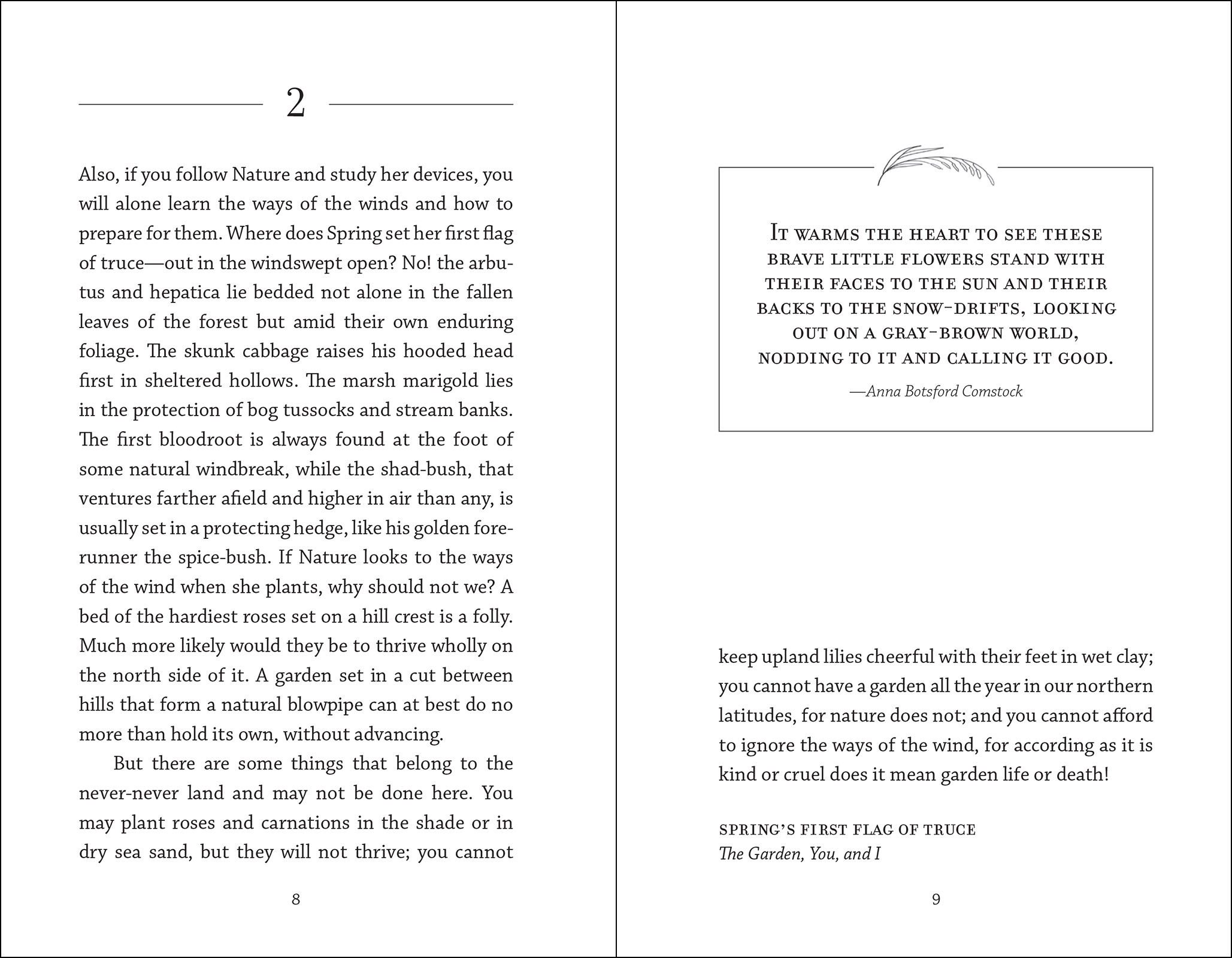 The Meditations of Mabel Osgood Wright