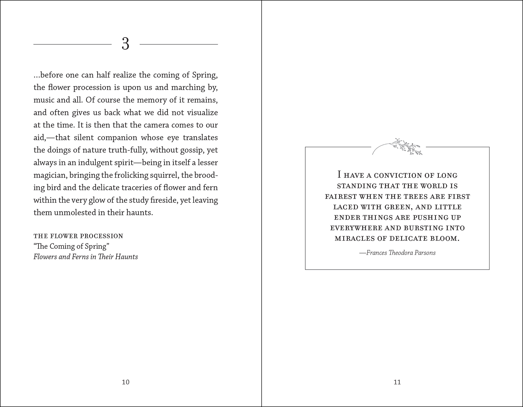 The Meditations of Mabel Osgood Wright