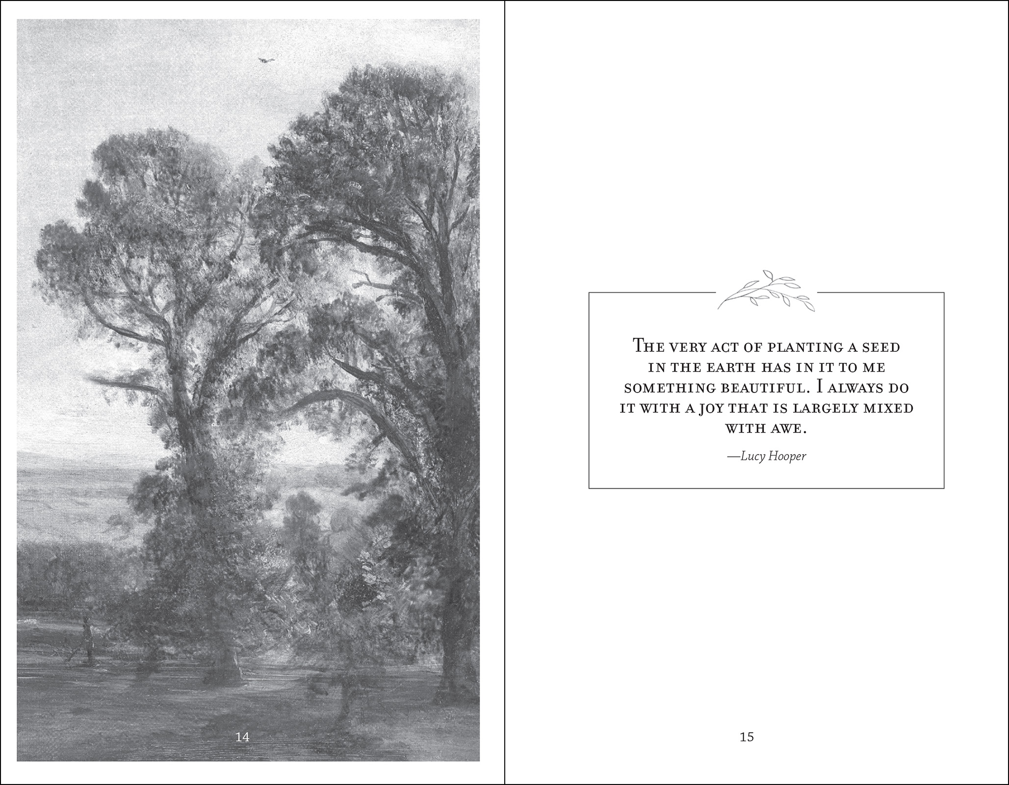 The Meditations of Mabel Osgood Wright