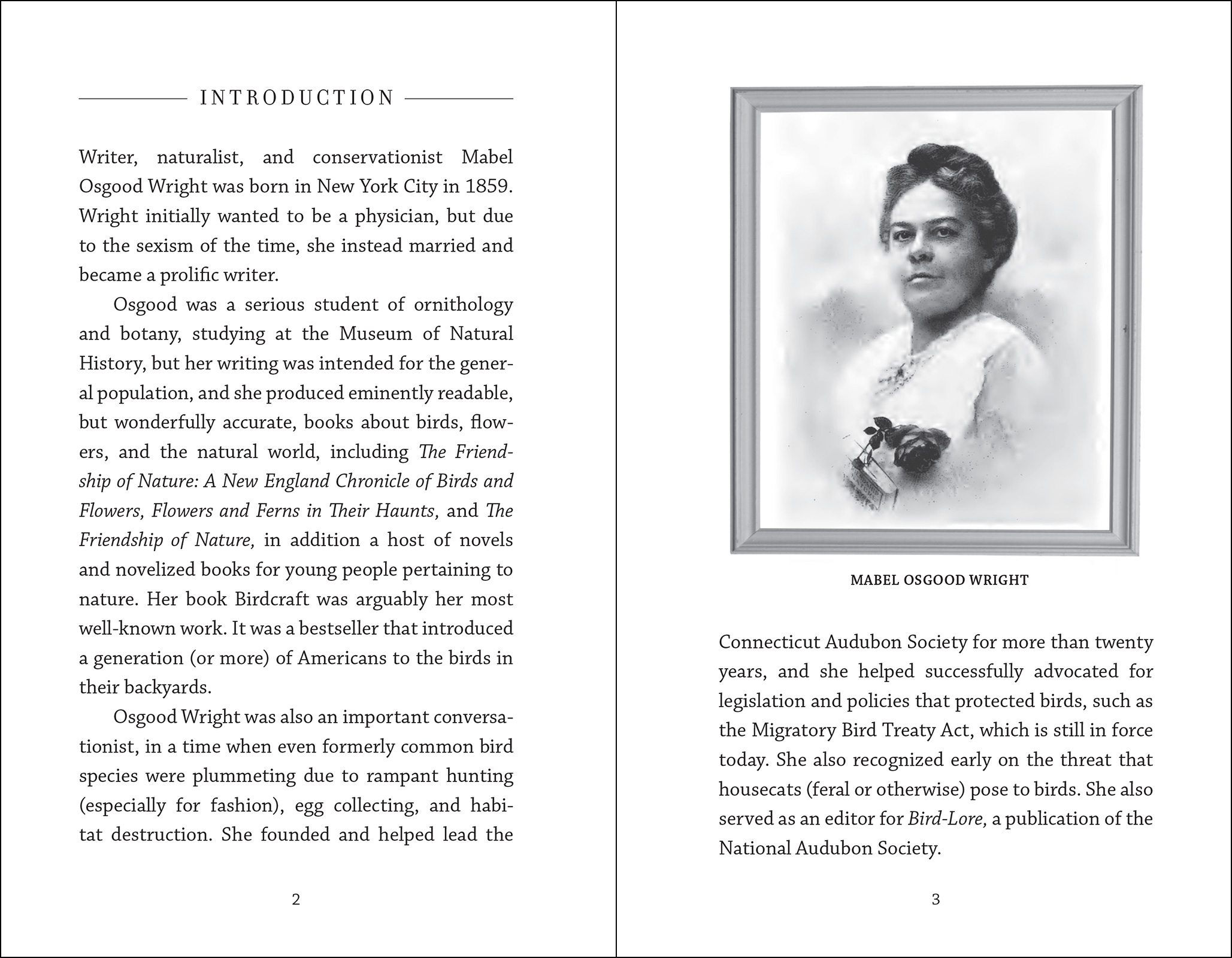 The Meditations of Mabel Osgood Wright