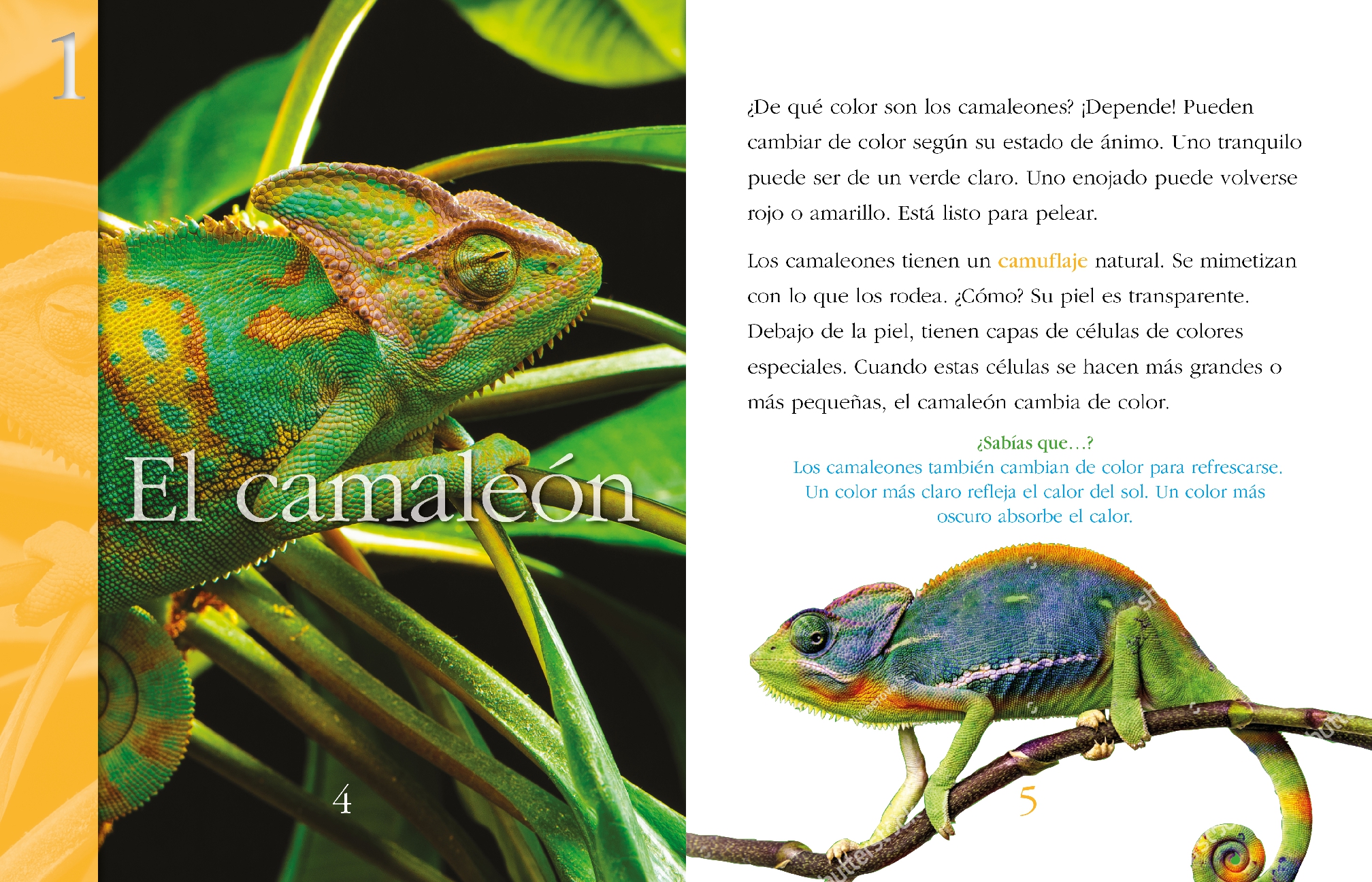 Animales supercamuflados