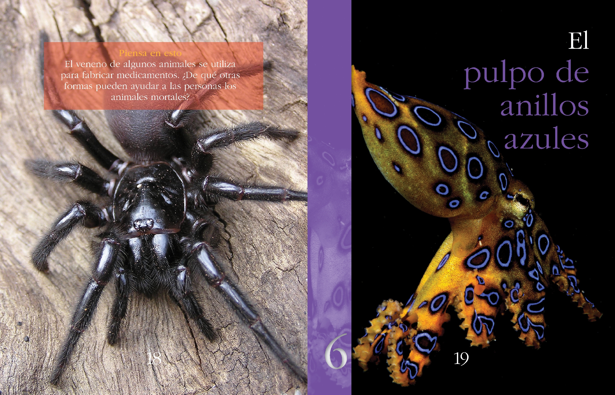 Animales supermortales