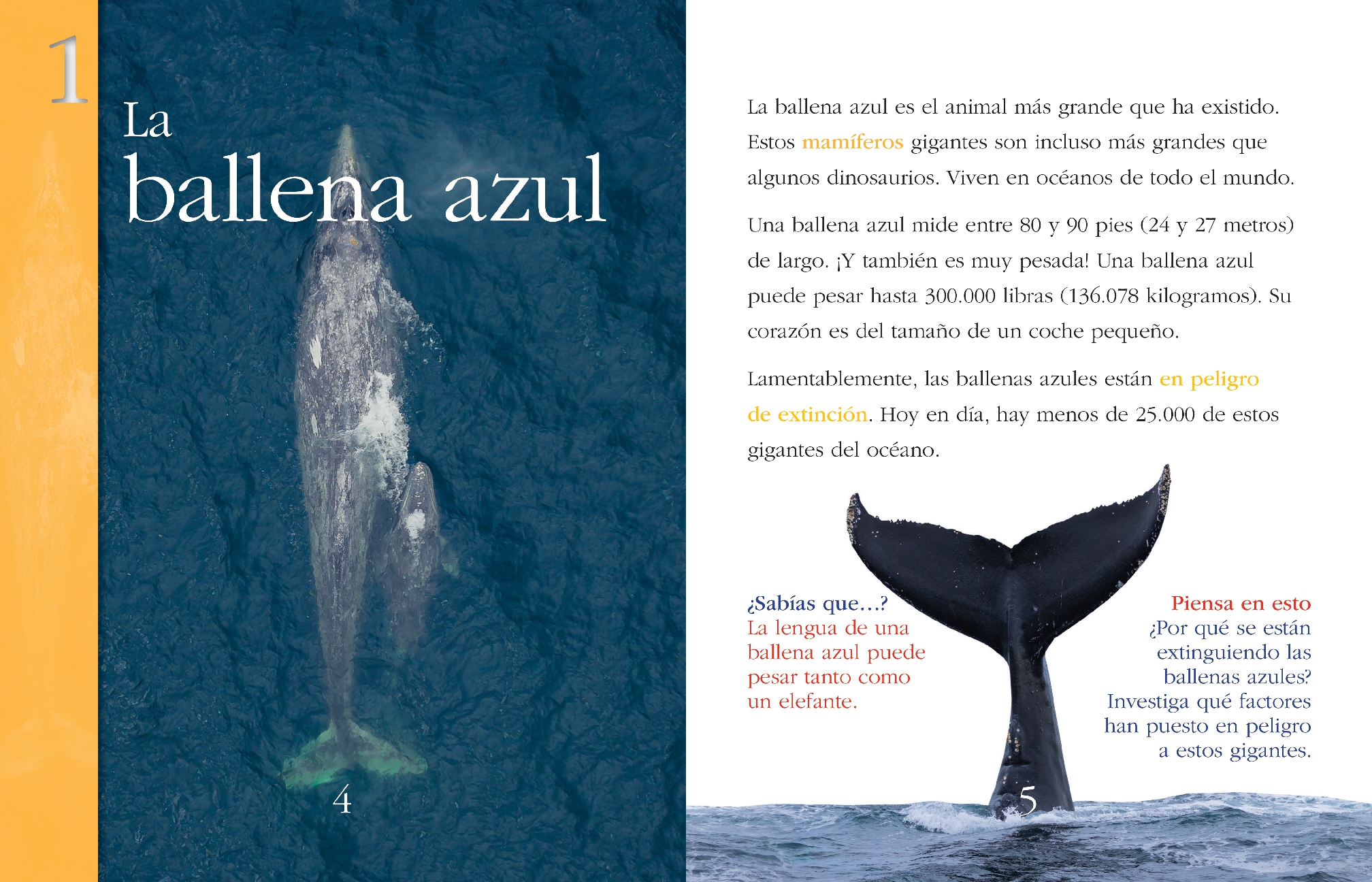 Animales supergigantes