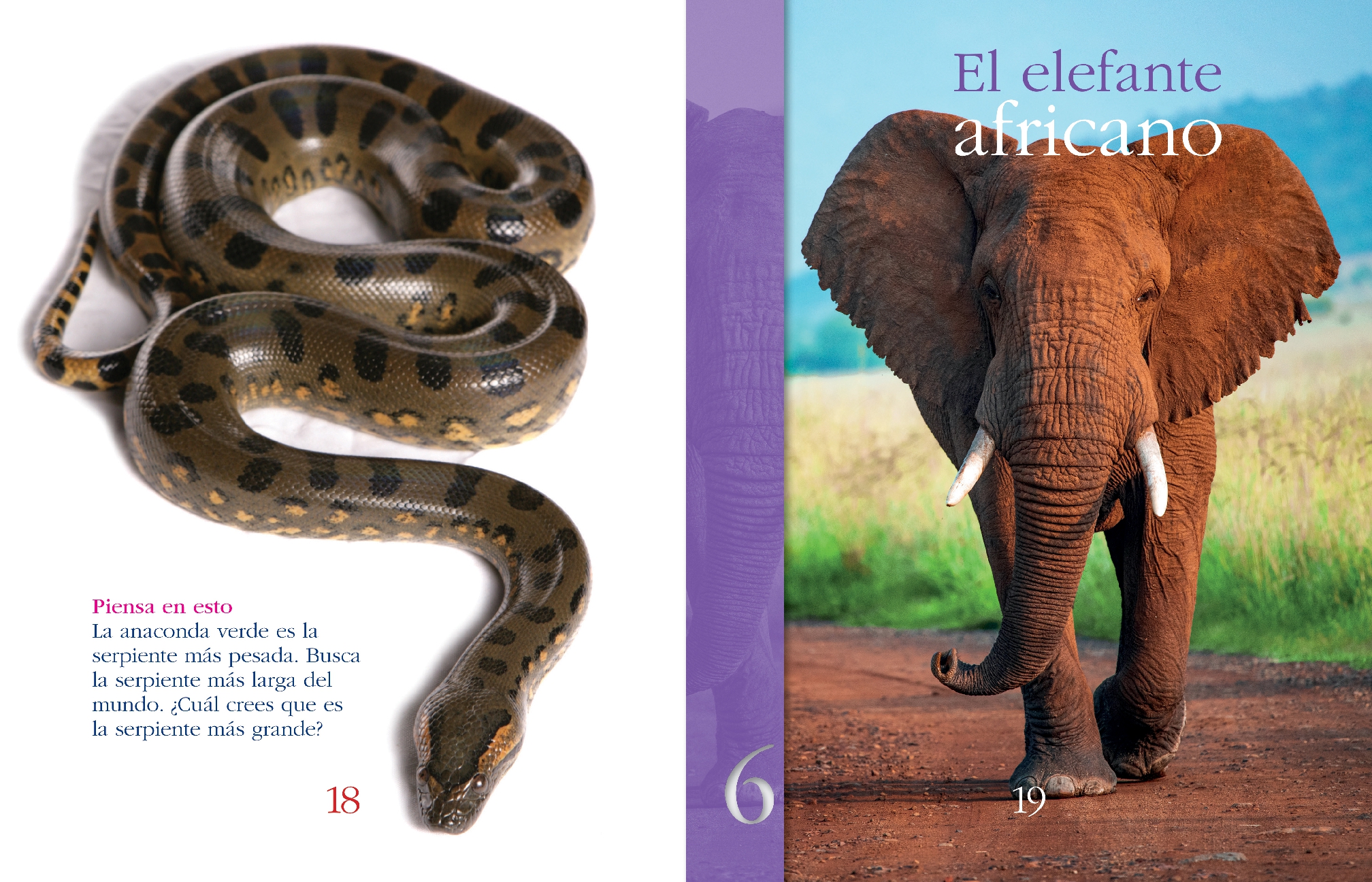 Animales supergigantes