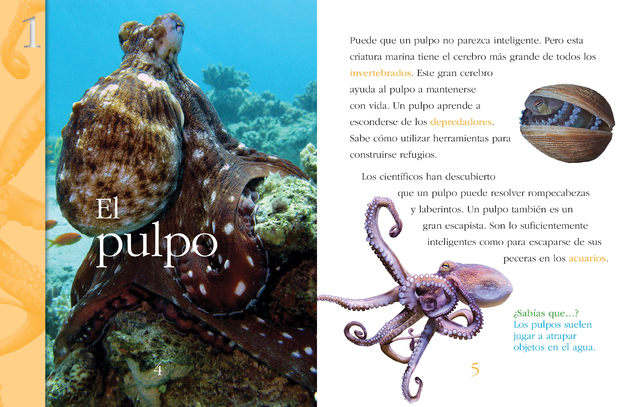 Animales superinteligentes