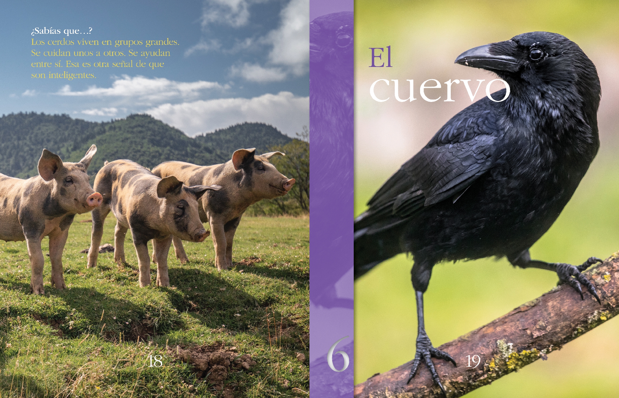 Animales superinteligentes