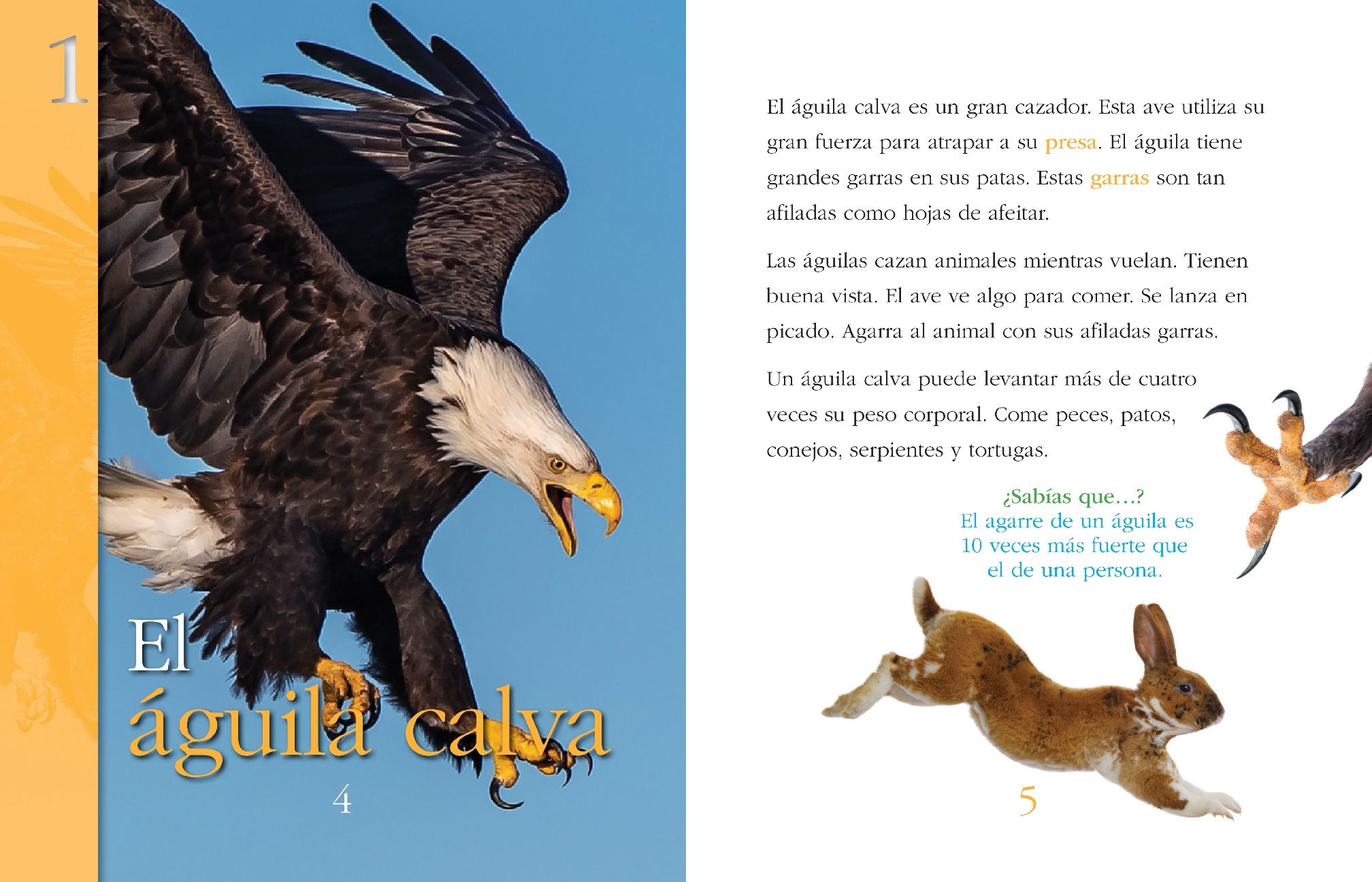 Animales superfuertes