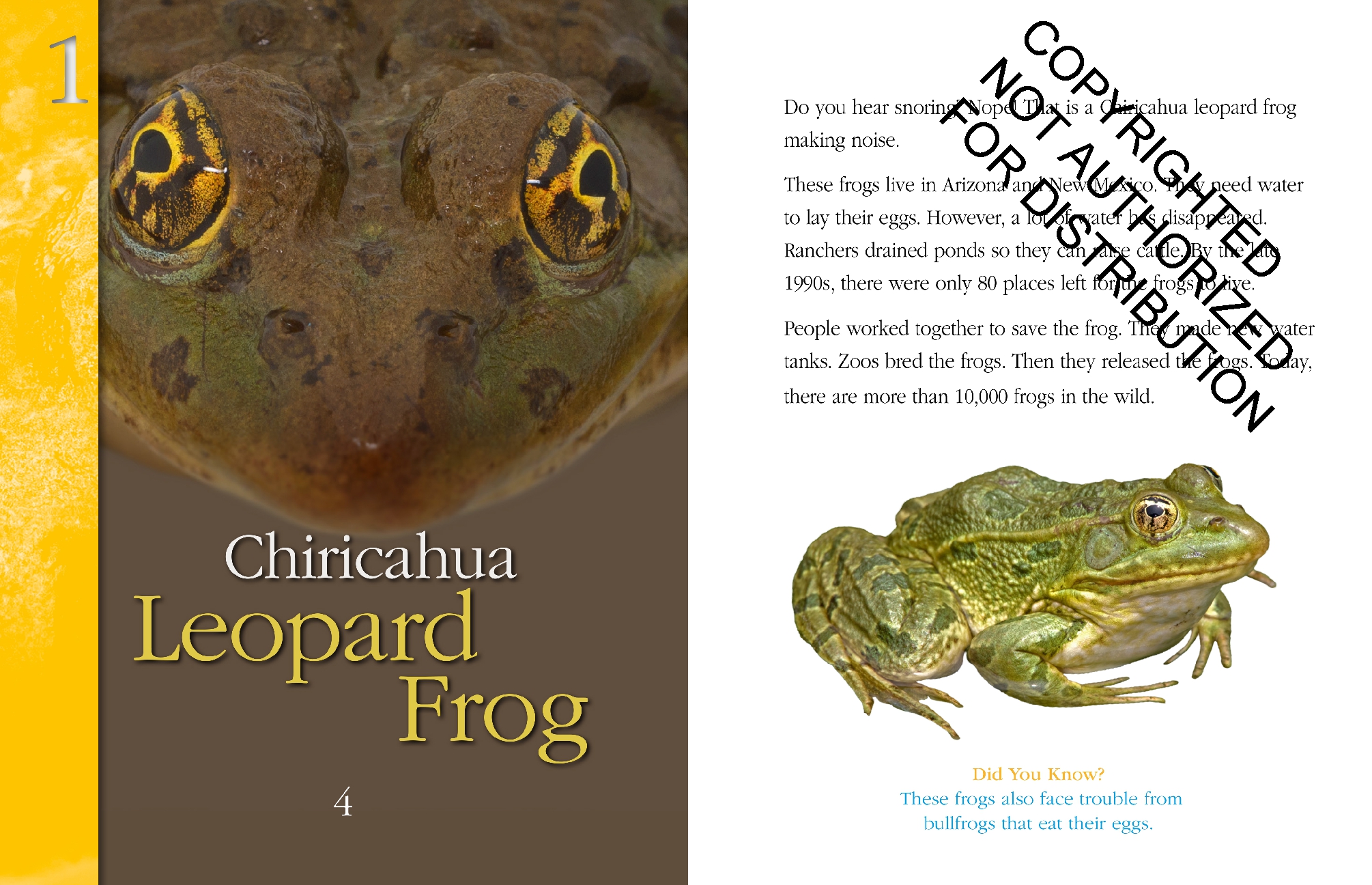 Amphibians: Back from the Brink