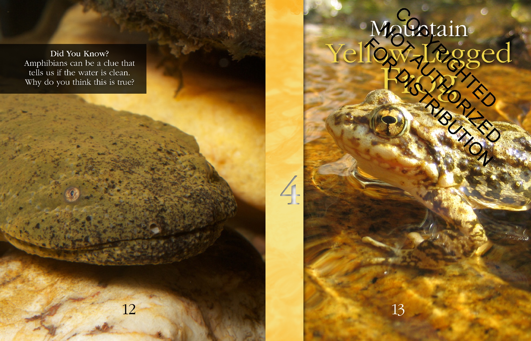 Amphibians: Back from the Brink