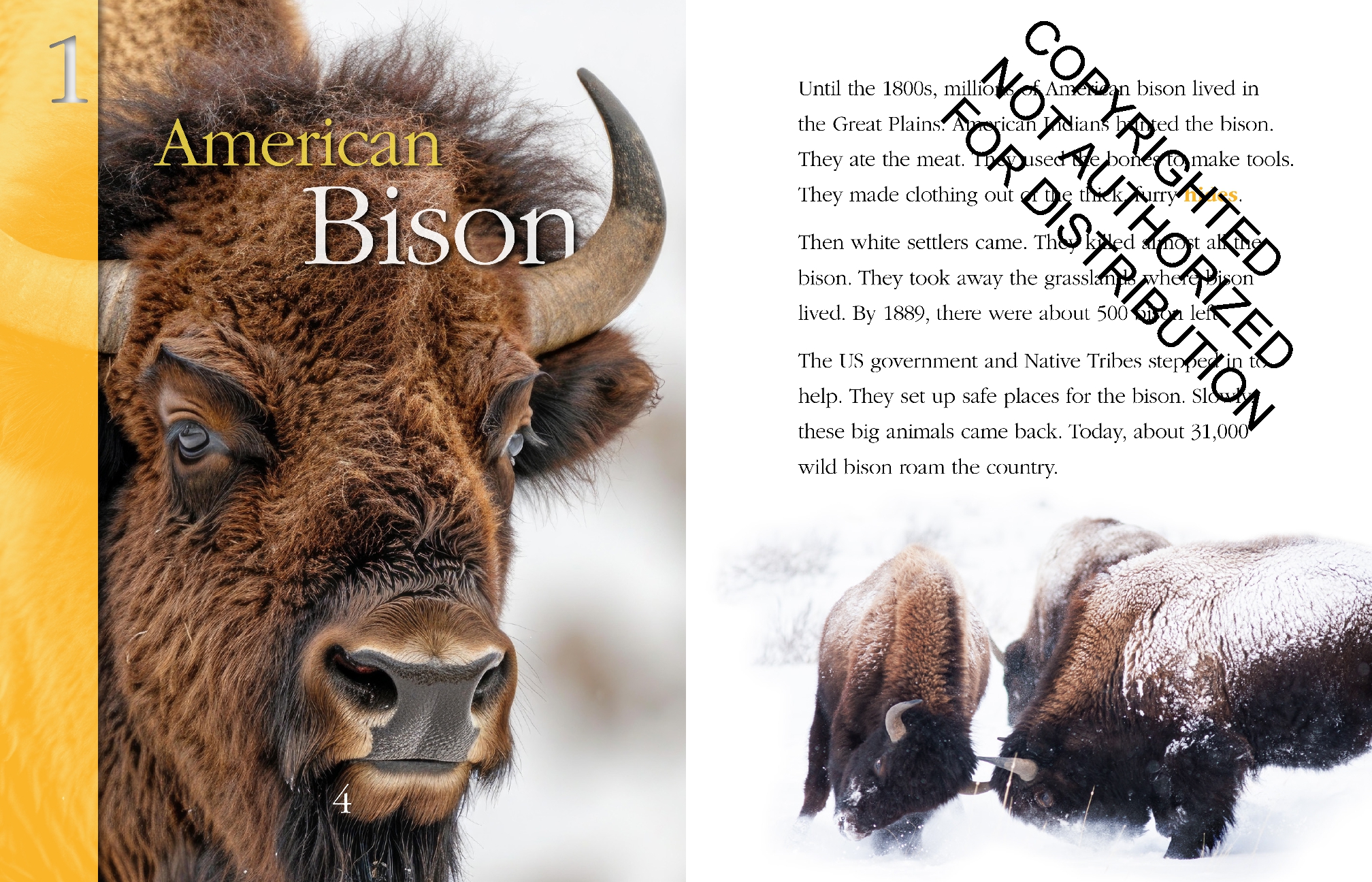 Mammals: Back from the Brink