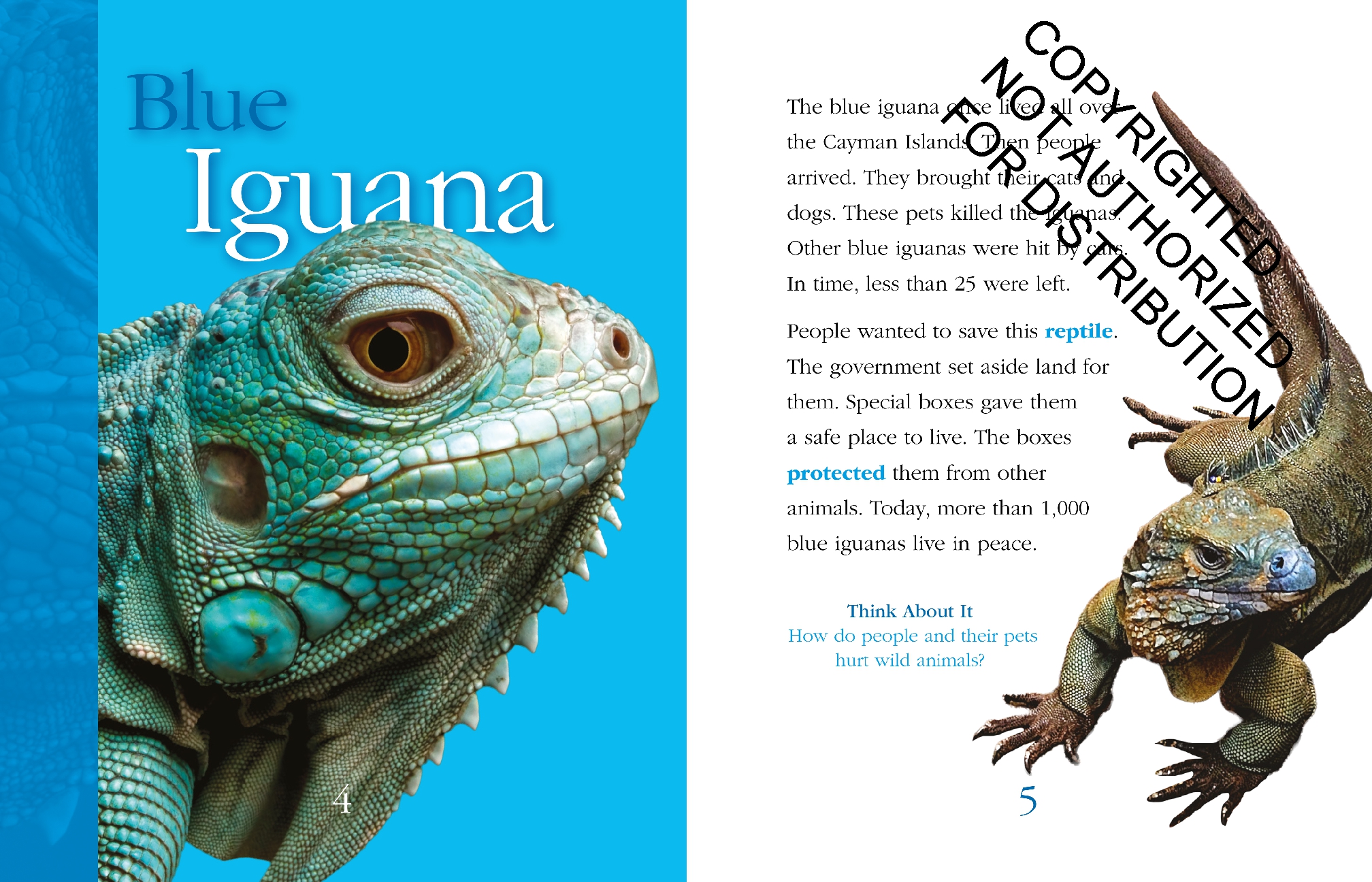 Reptiles: Back from the Brink