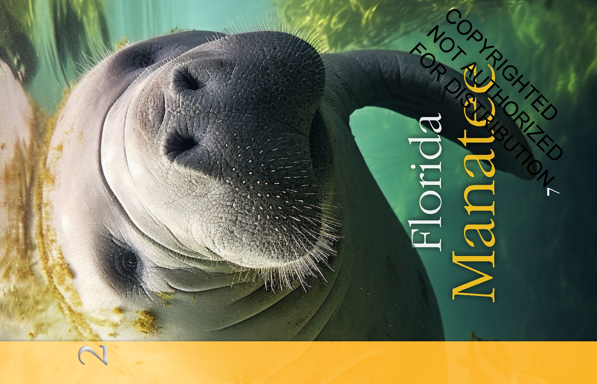 Sea Animals: Back from the Brink