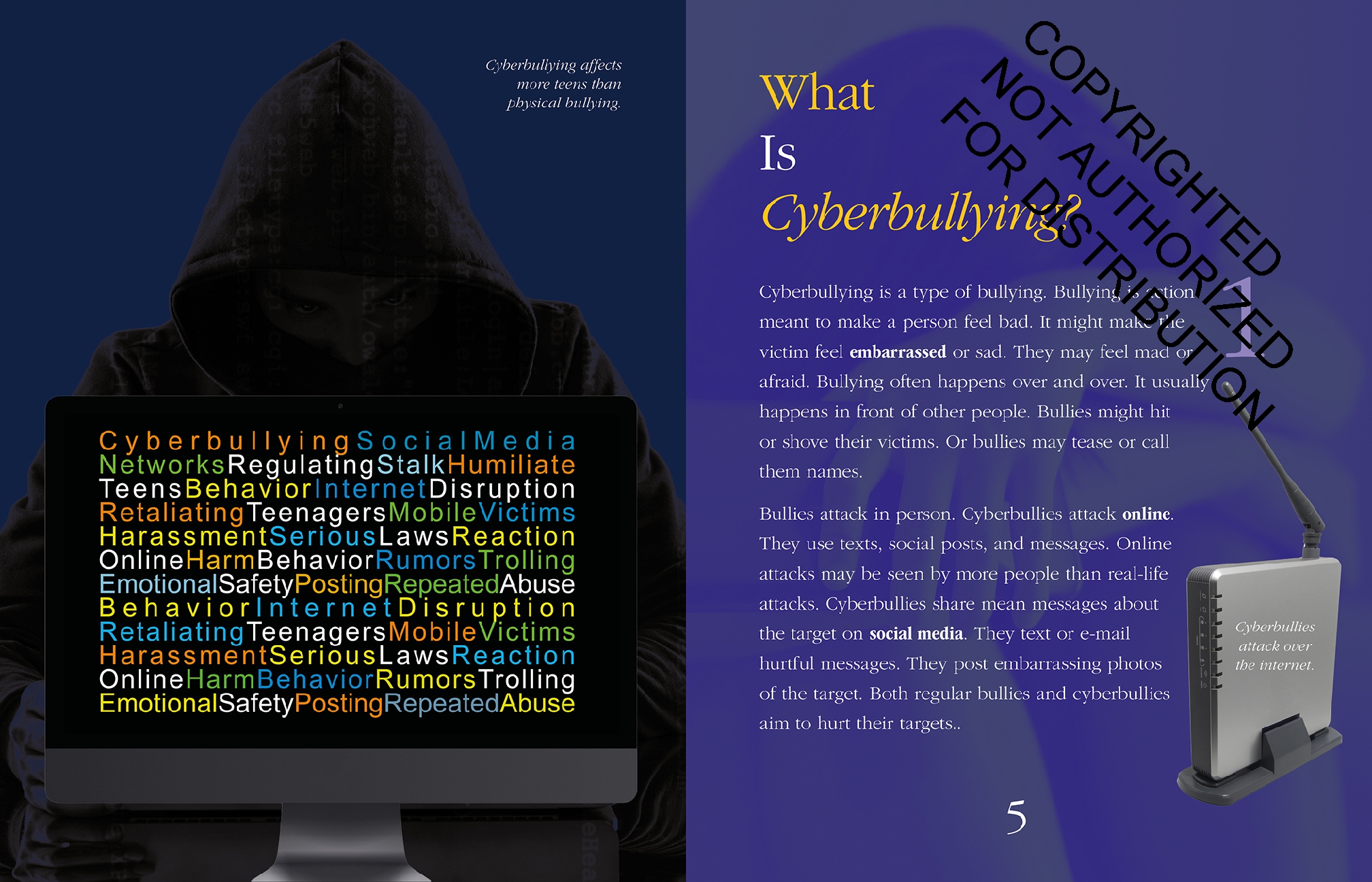 12 Questions about Cyberbullying