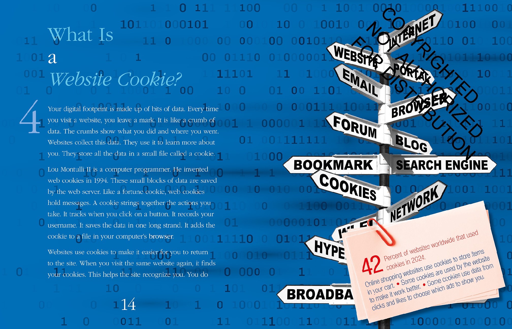 12 Questions about Digital Footprints