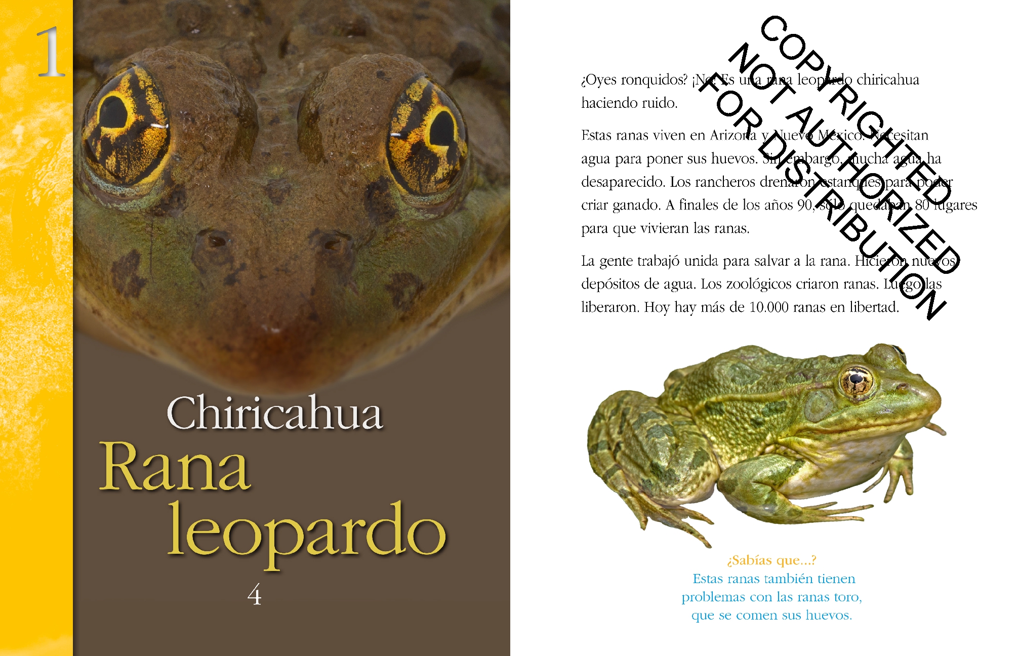 Los anfibios: Salvados de la extinción