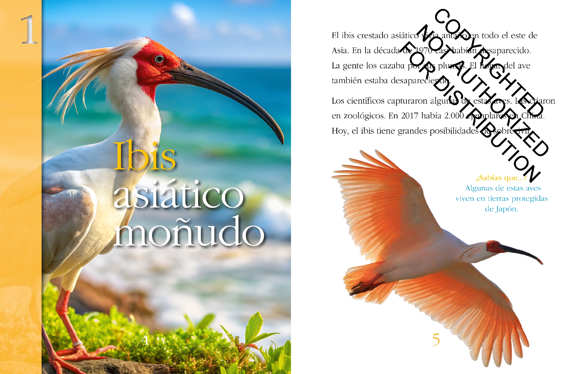 Las aves: Salvados de la extinción