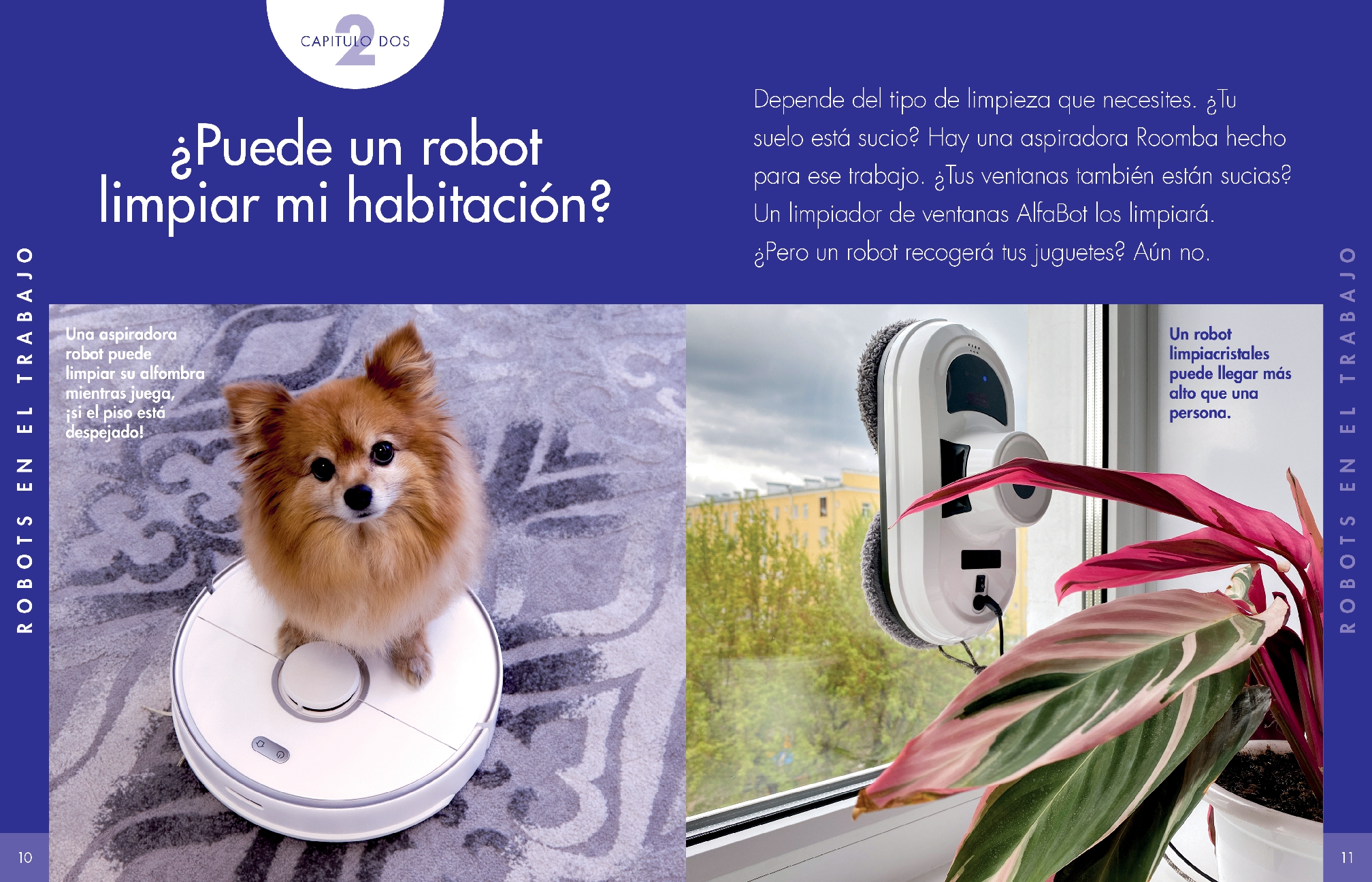 Curiosidad por los robots en casa