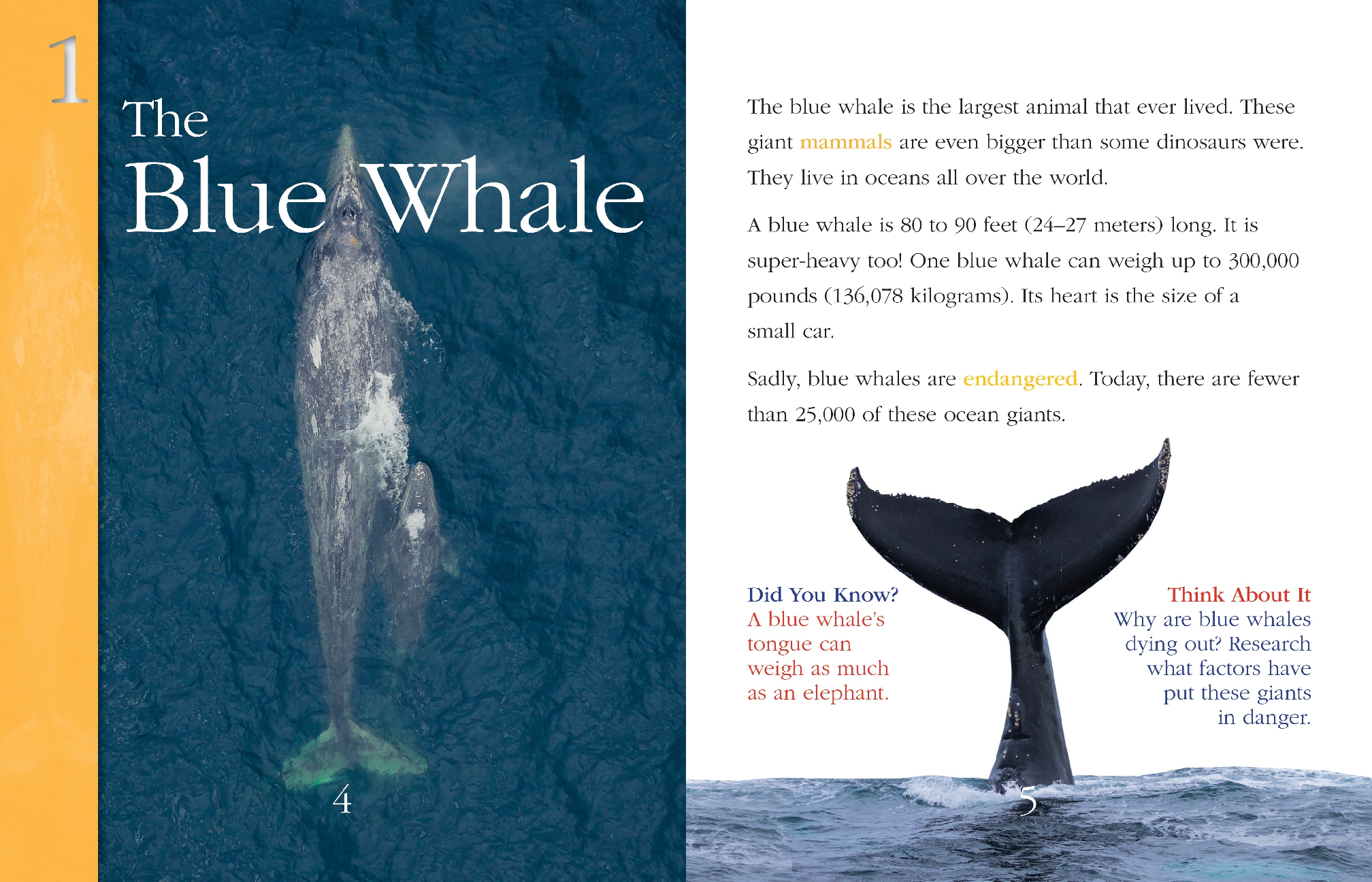 Super-Gigantic Animals
