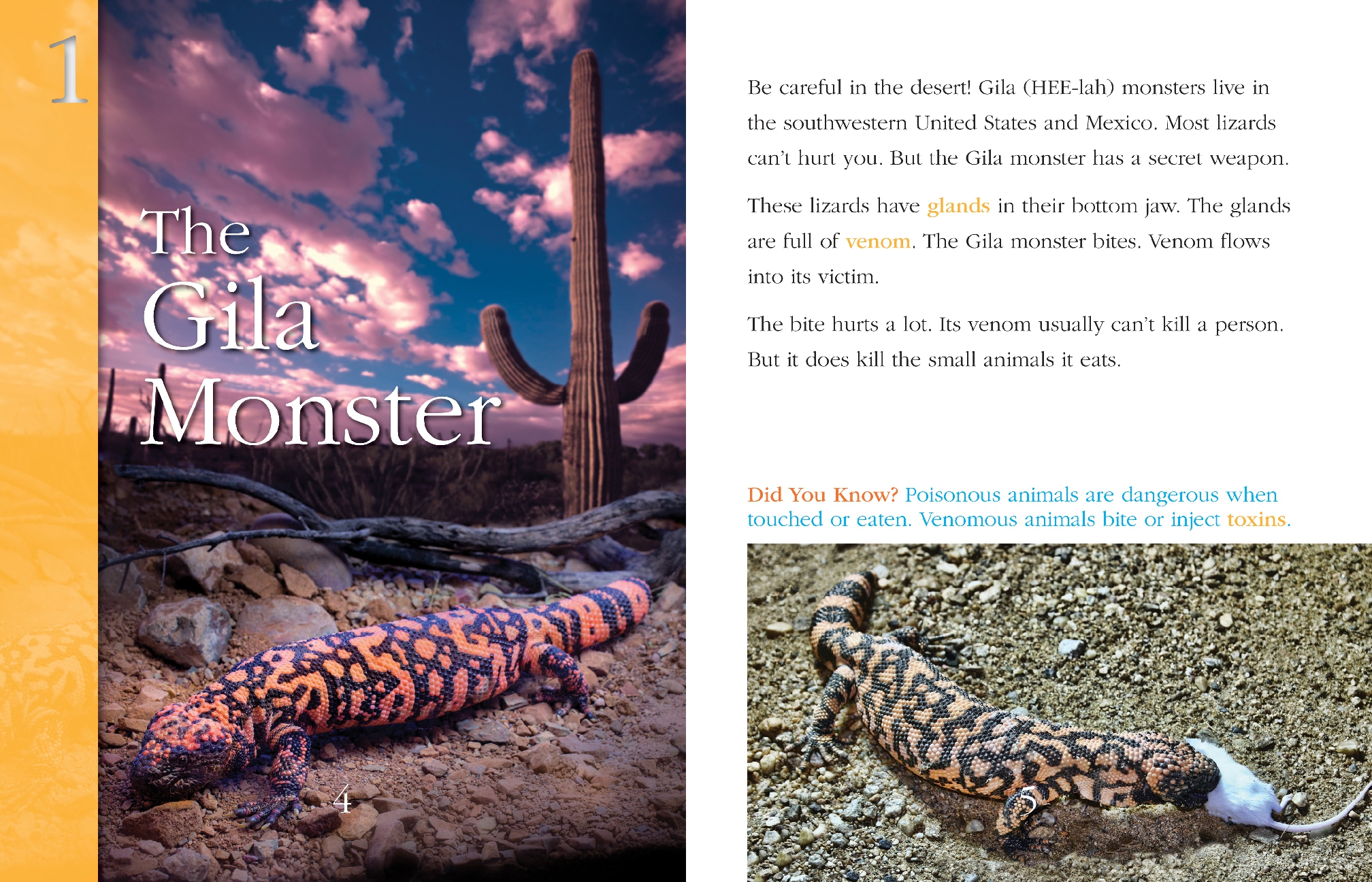 Super-Deadly Animals