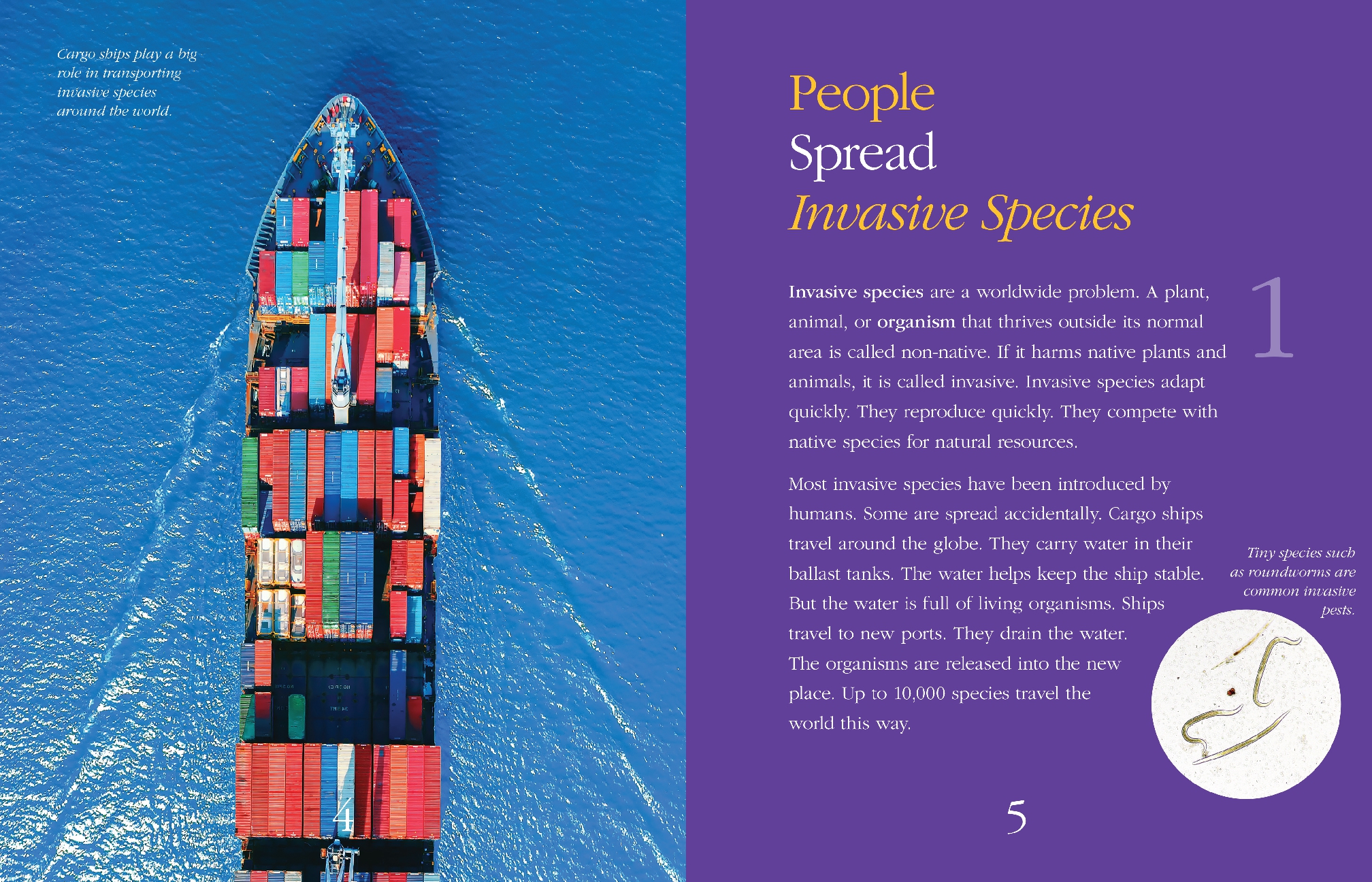 12 Things to Know about Invasive Species
