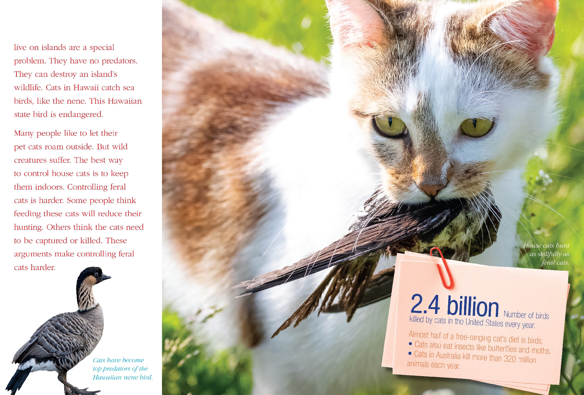 12 Things to Know about Invasive Species