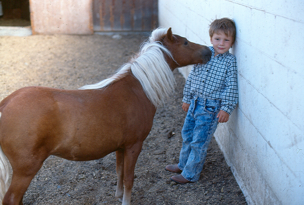 A Horse by Nature