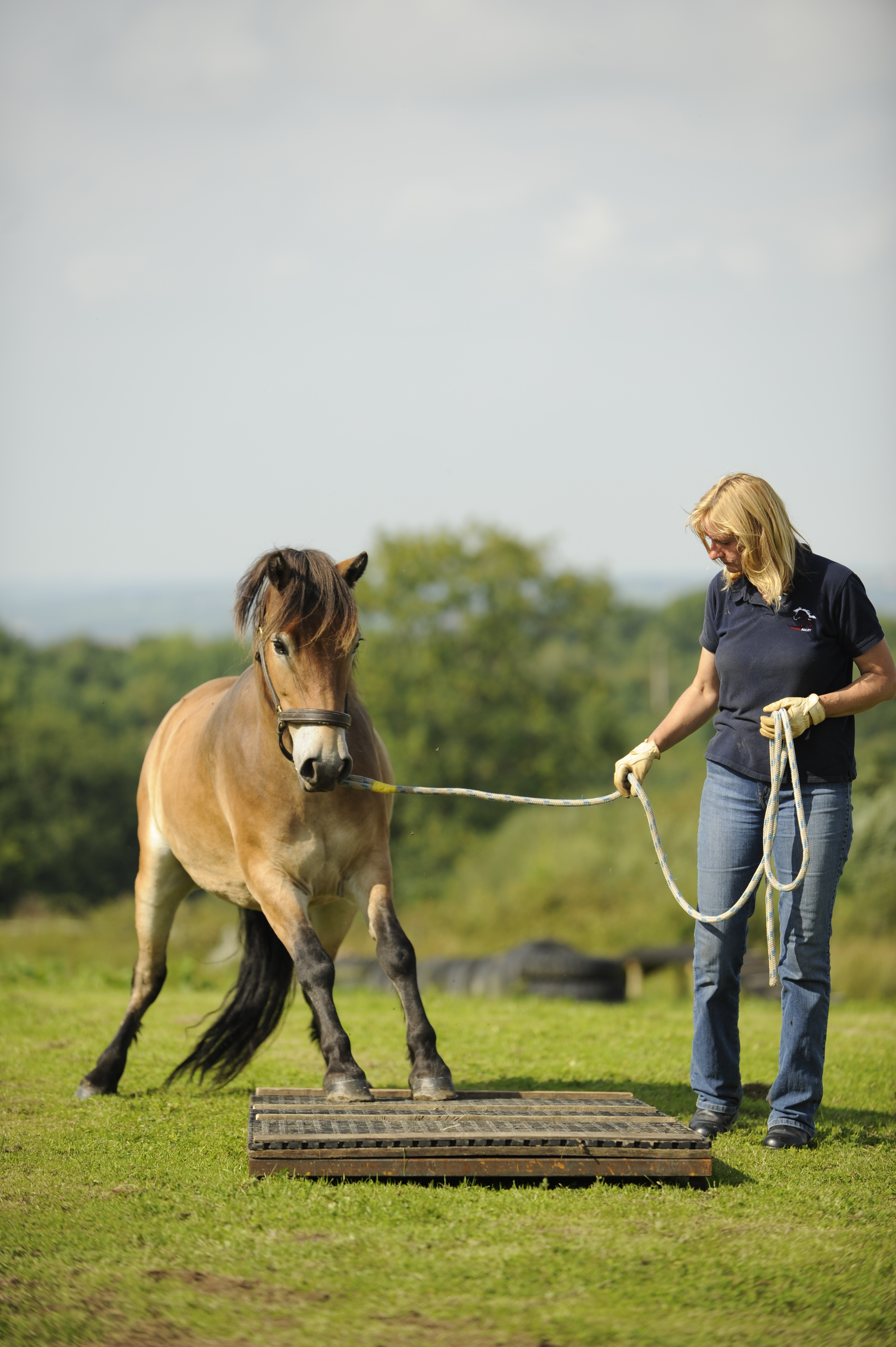 The Horse Agility Handbook