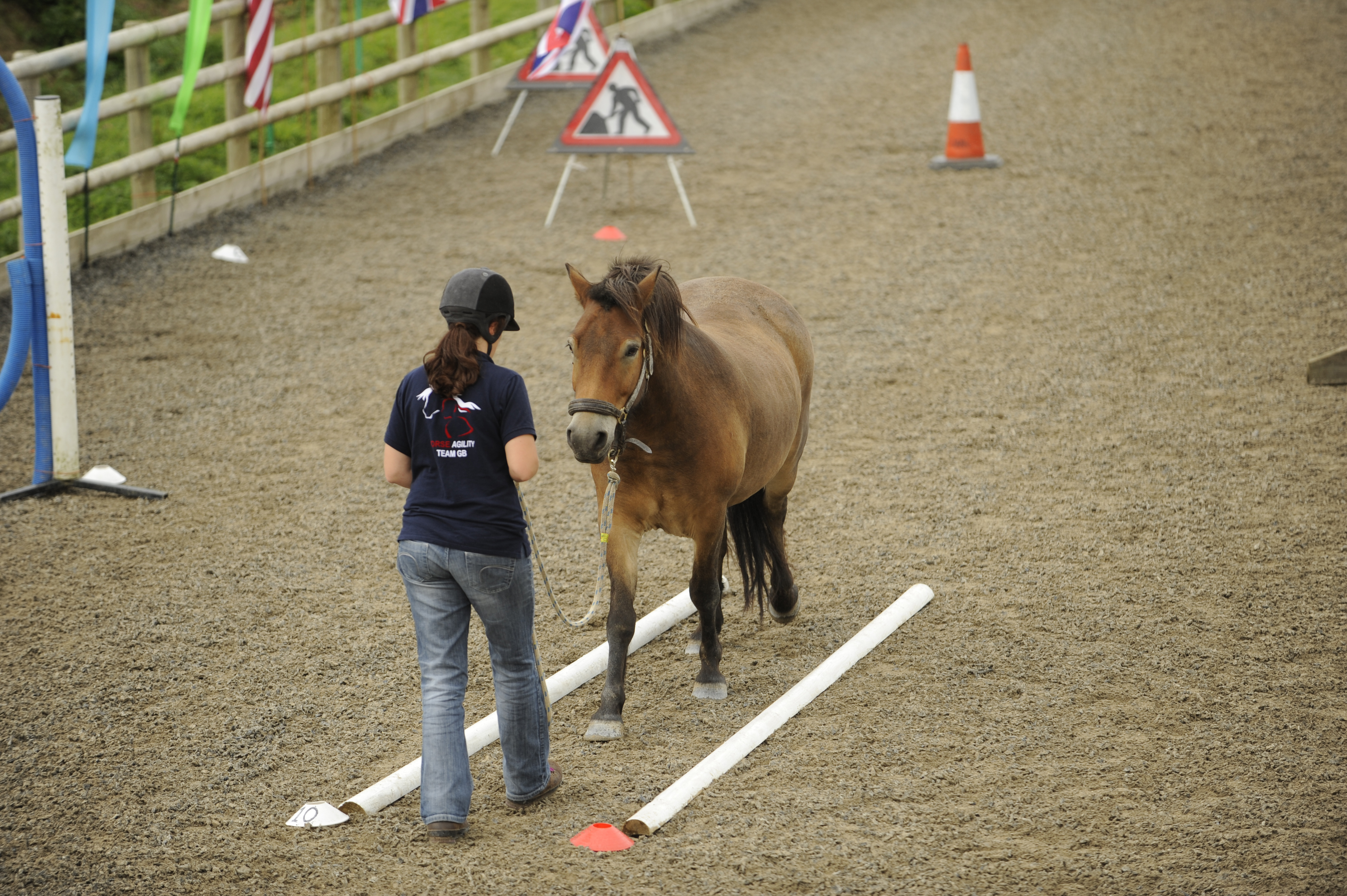 The Horse Agility Handbook