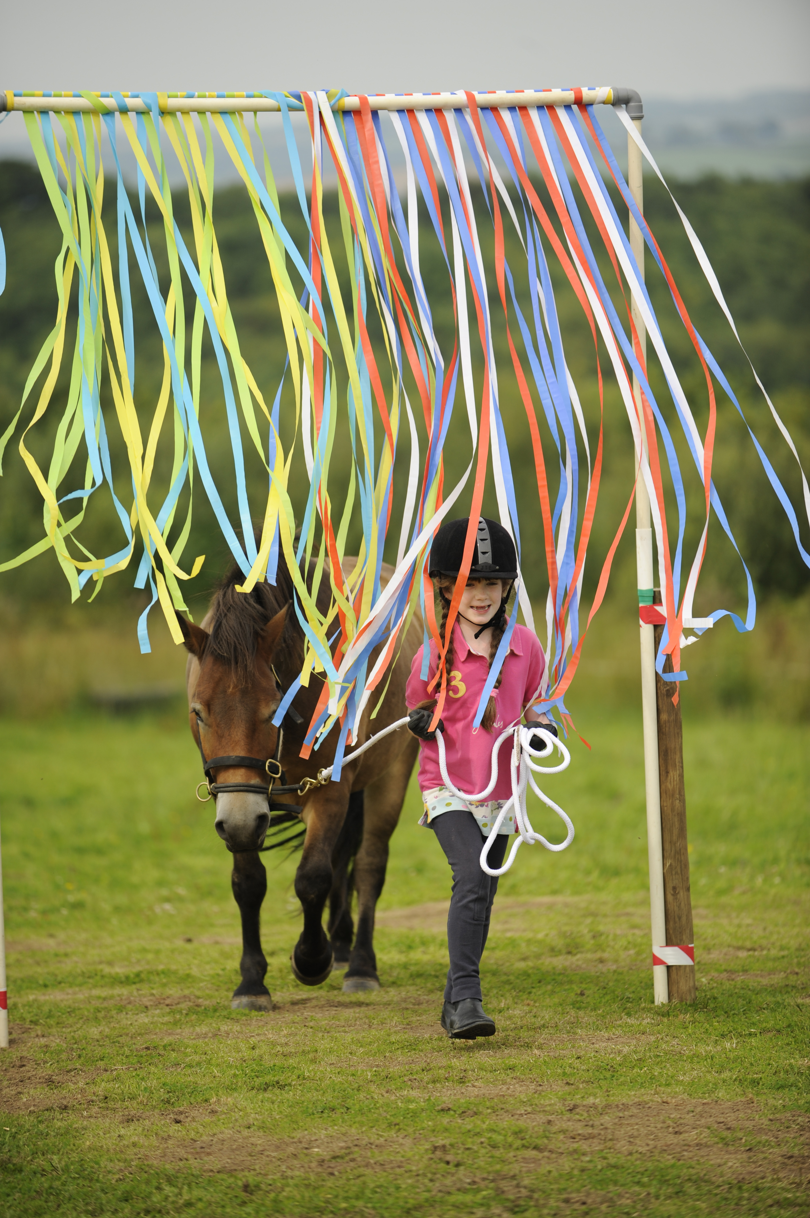 The Horse Agility Handbook