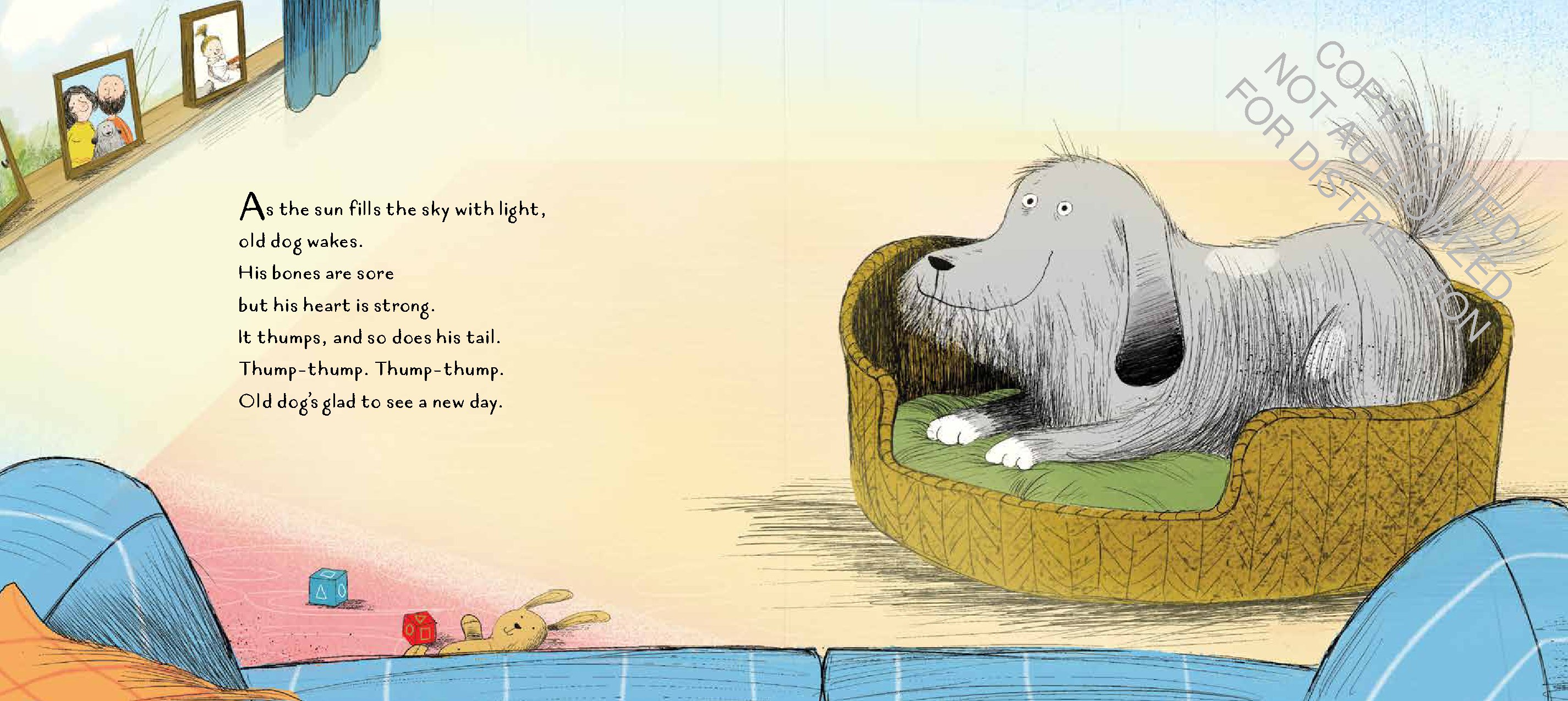 This Old Dog
