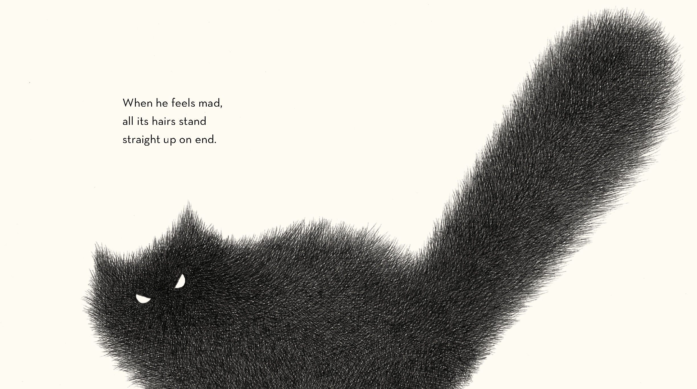Shibu's Tail