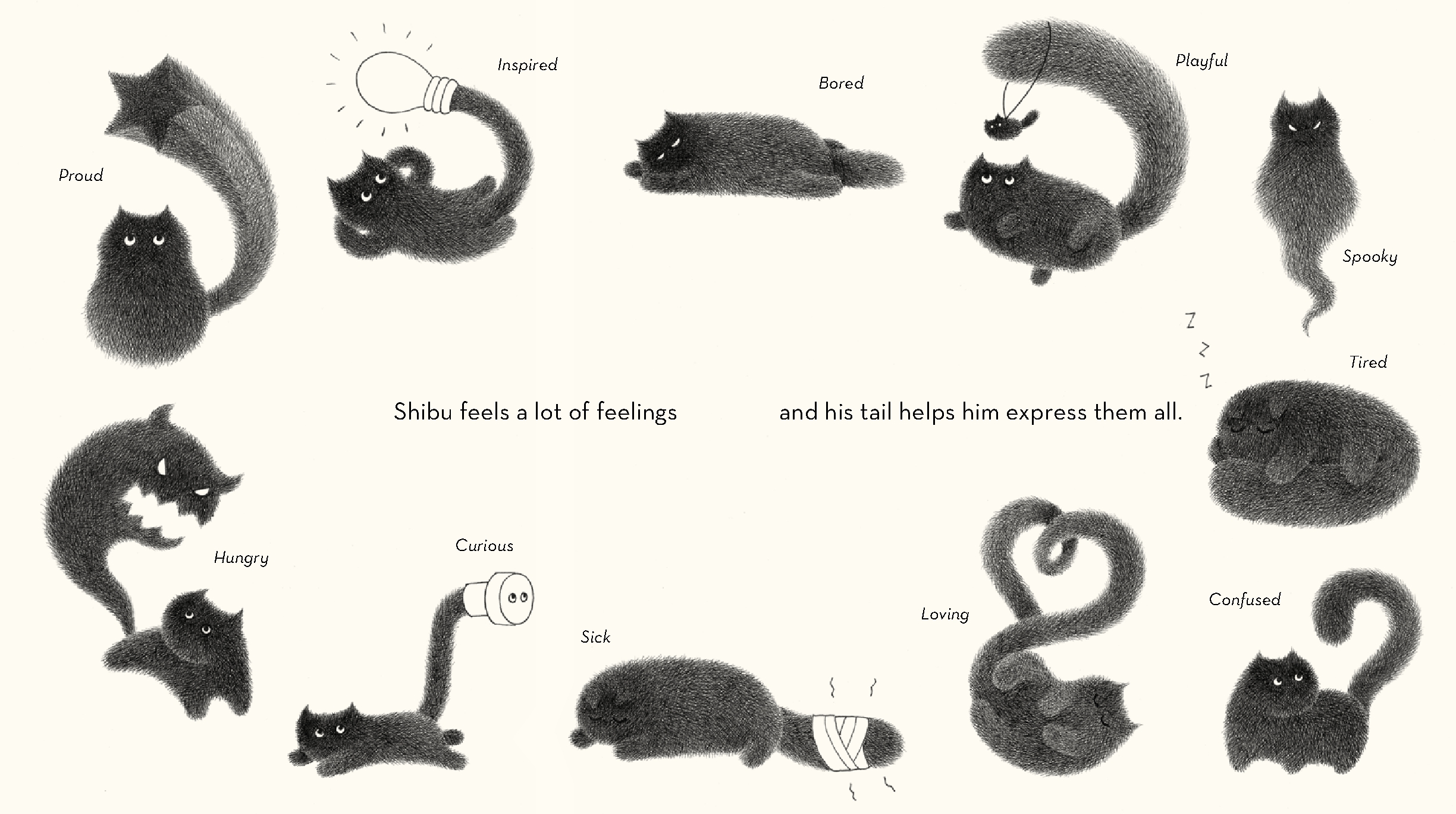 Shibu's Tail
