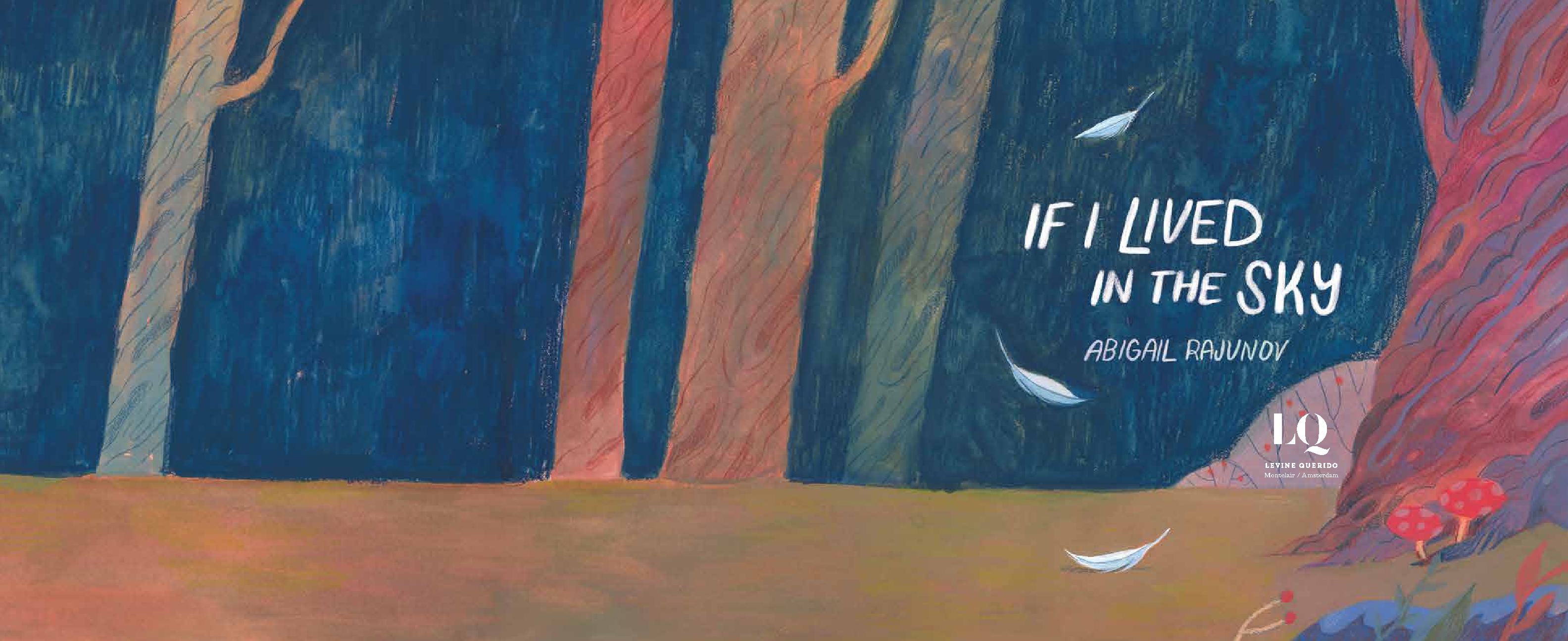 If I Lived in the Sky